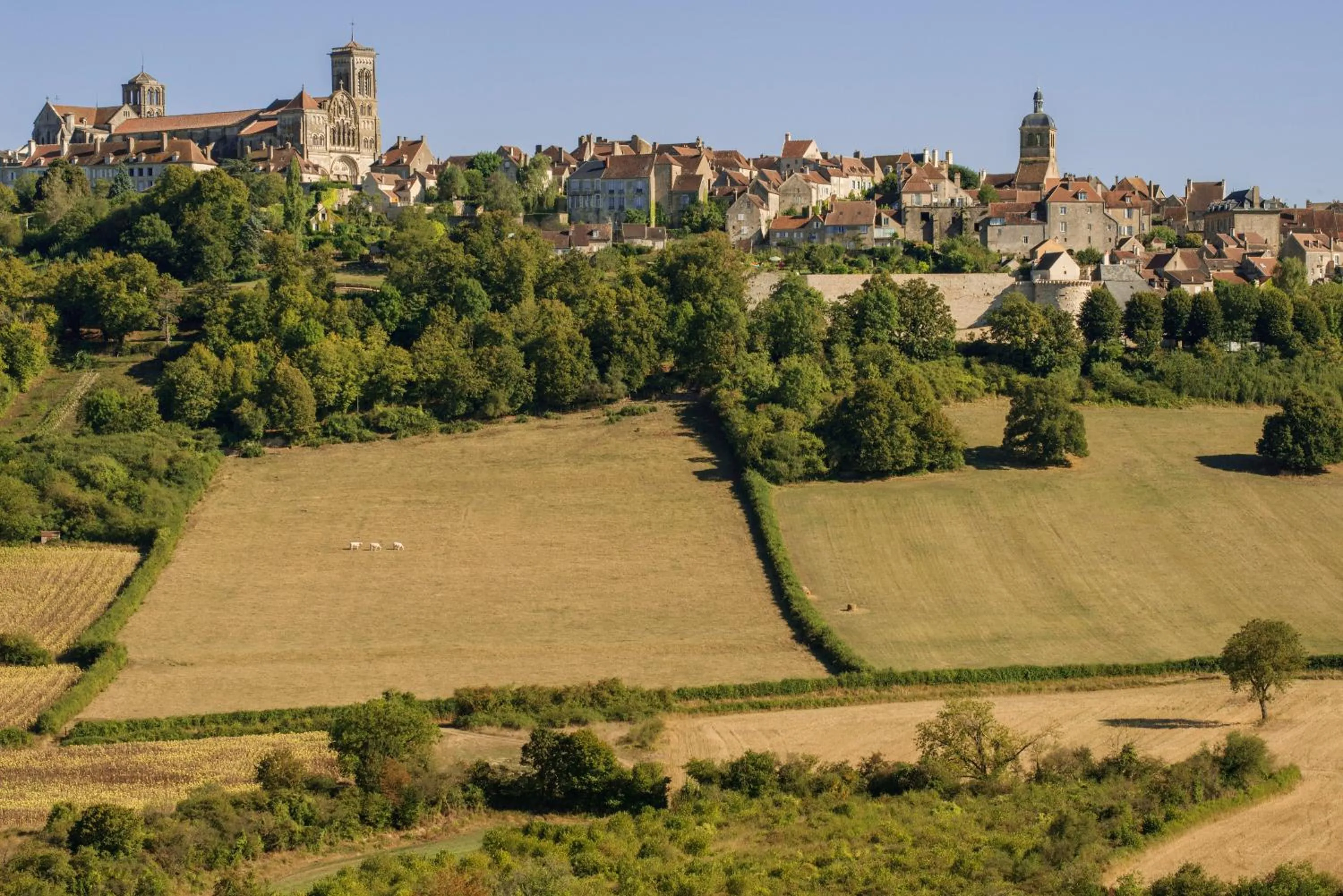 Nearby landmark in Hôtel Restaurant De La Poste & Du Lion D'or