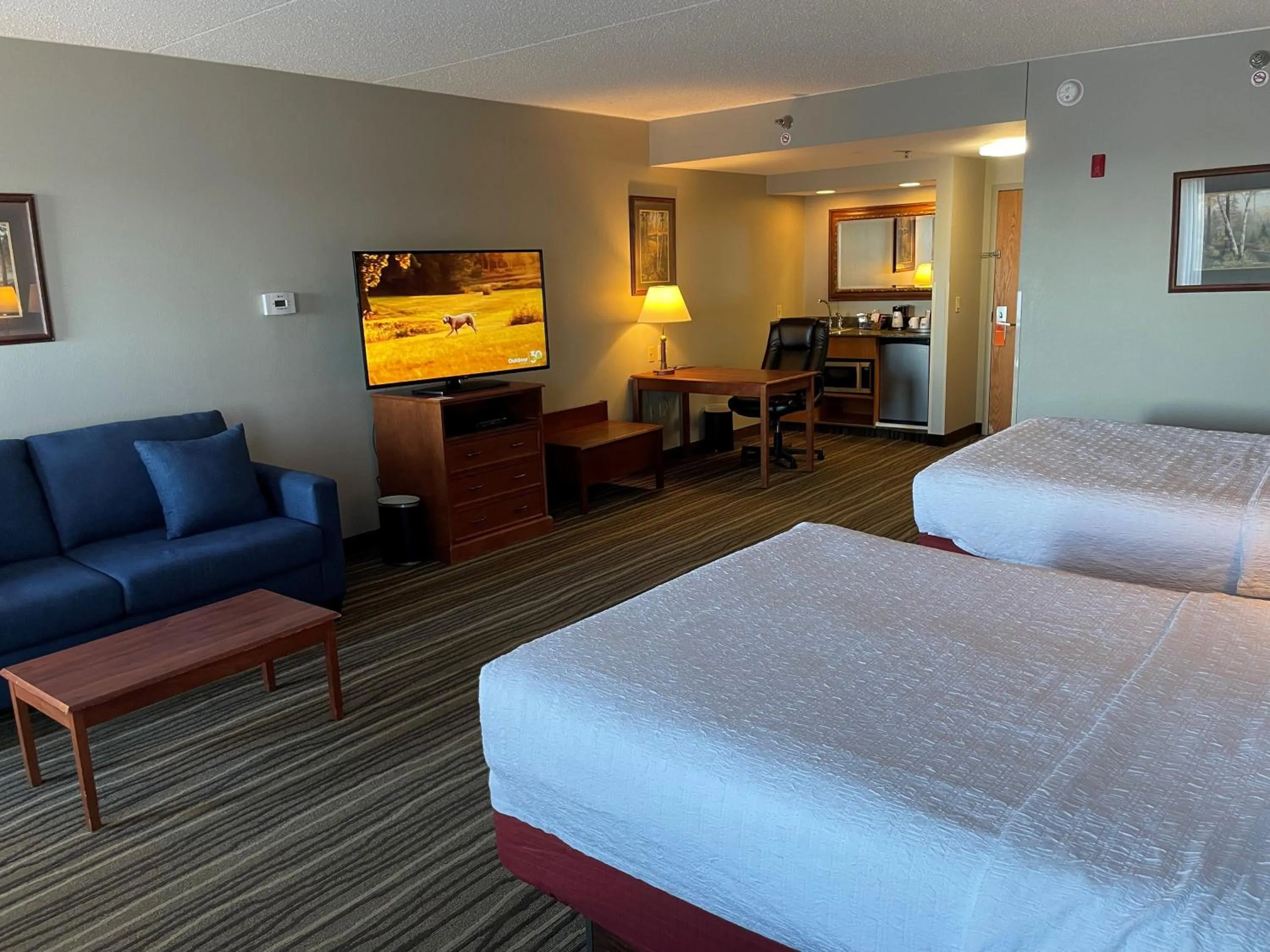 TV and multimedia, Bed in SouthShore Hotel on Lake Bemidji, Trademark Coll by Wyndham