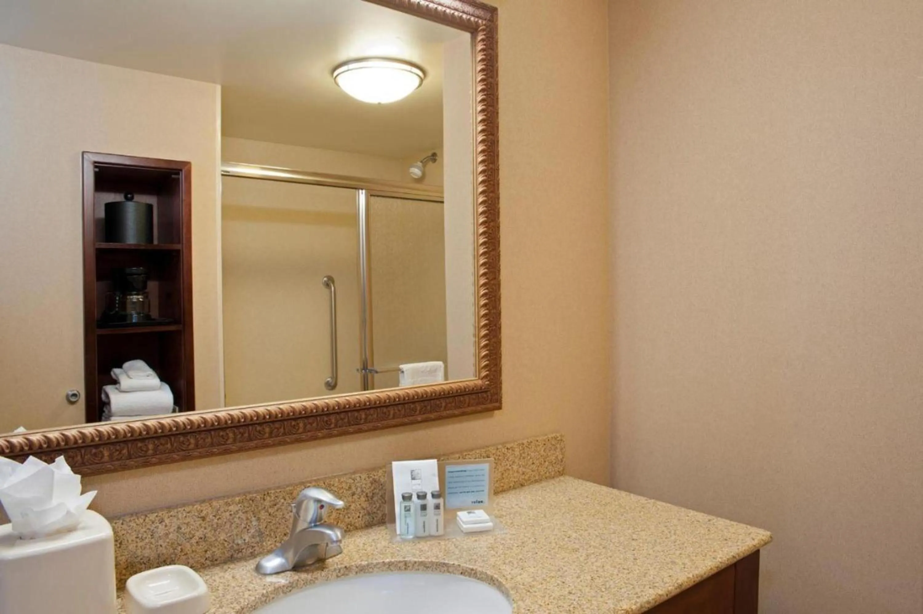 Bathroom in Hampton Inn & Suites Bloomington-Normal