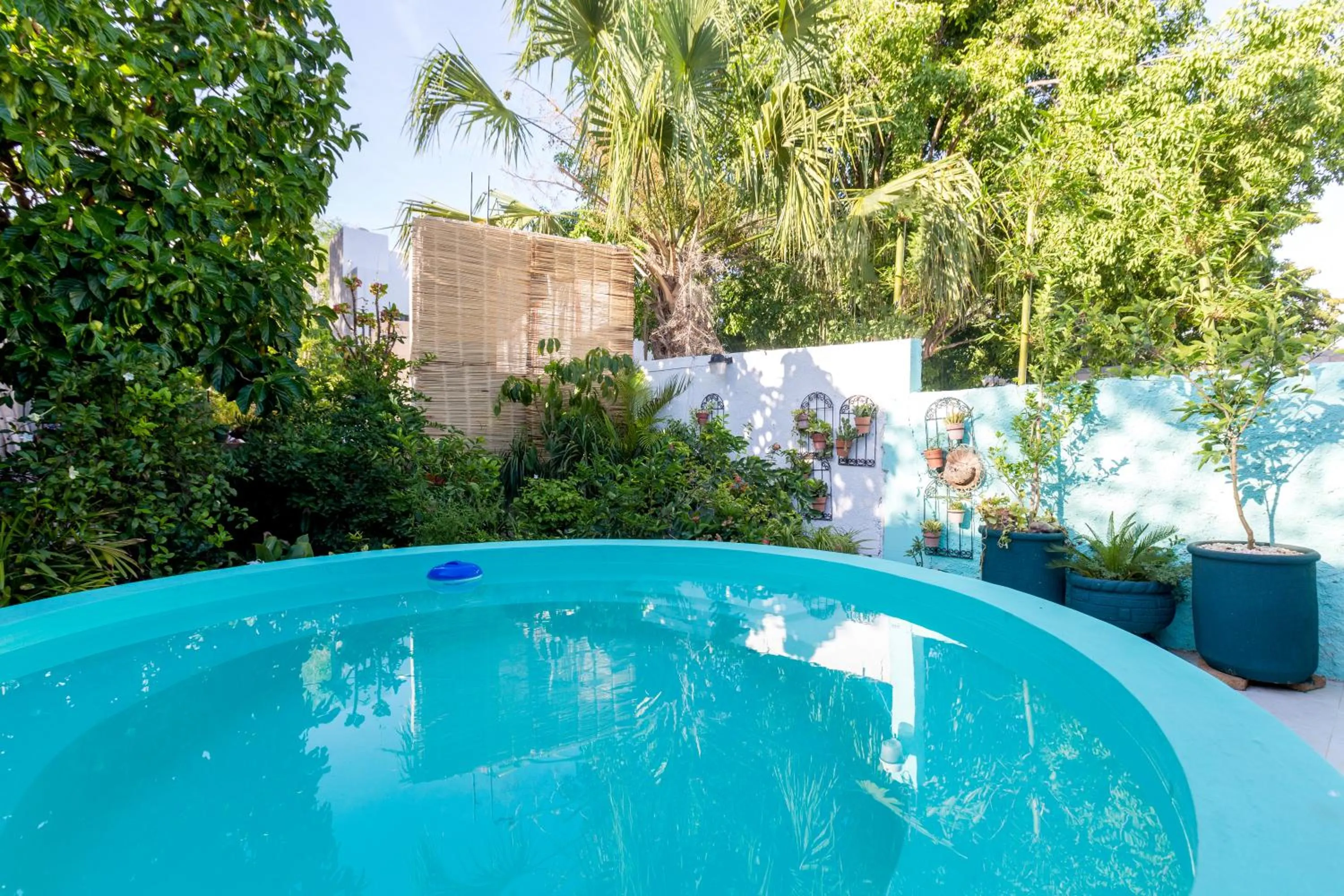 Swimming pool in Merida Serviced Apartments