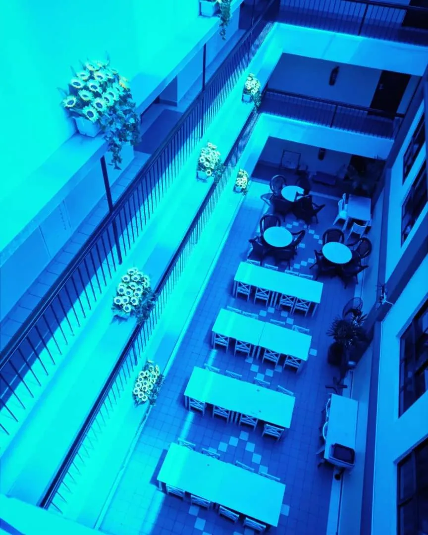 Restaurant/places to eat in Palace Hotel