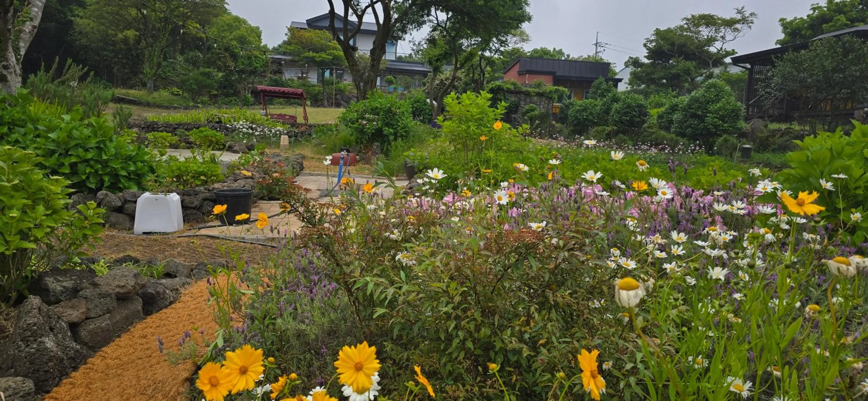 Gotjawal Geomunoreum Pension