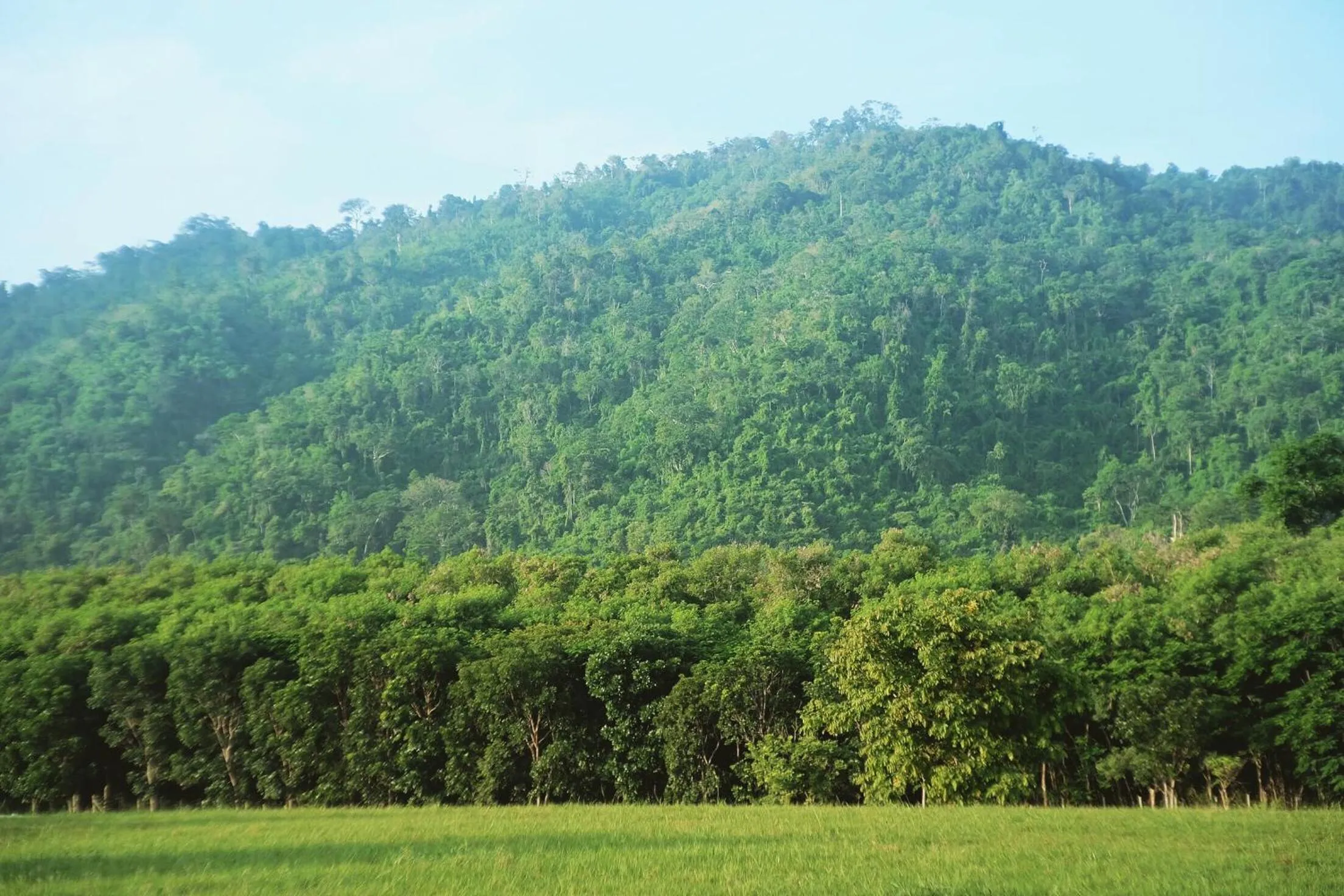 Mountain view in Monlada Khaoyai