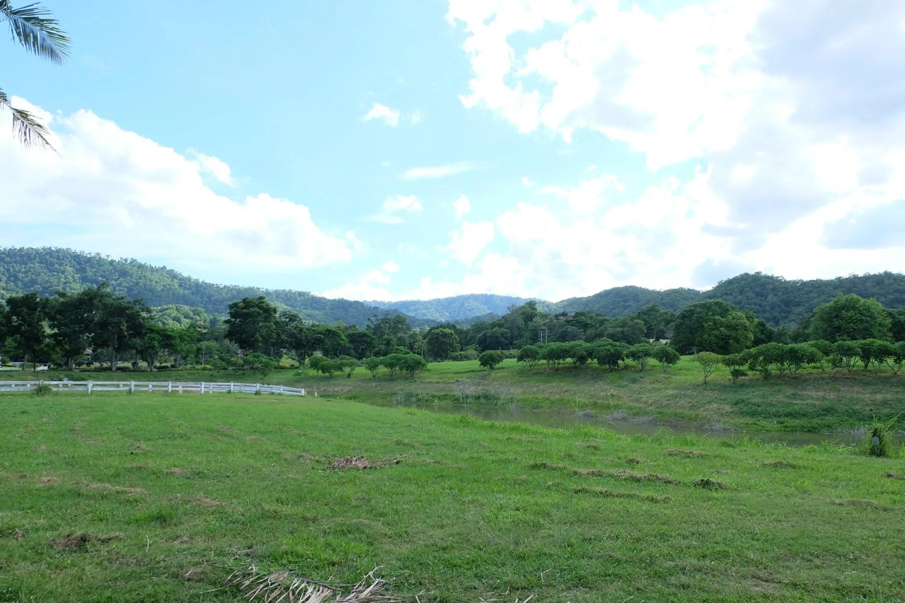 View (from property/room) in Monlada Khaoyai