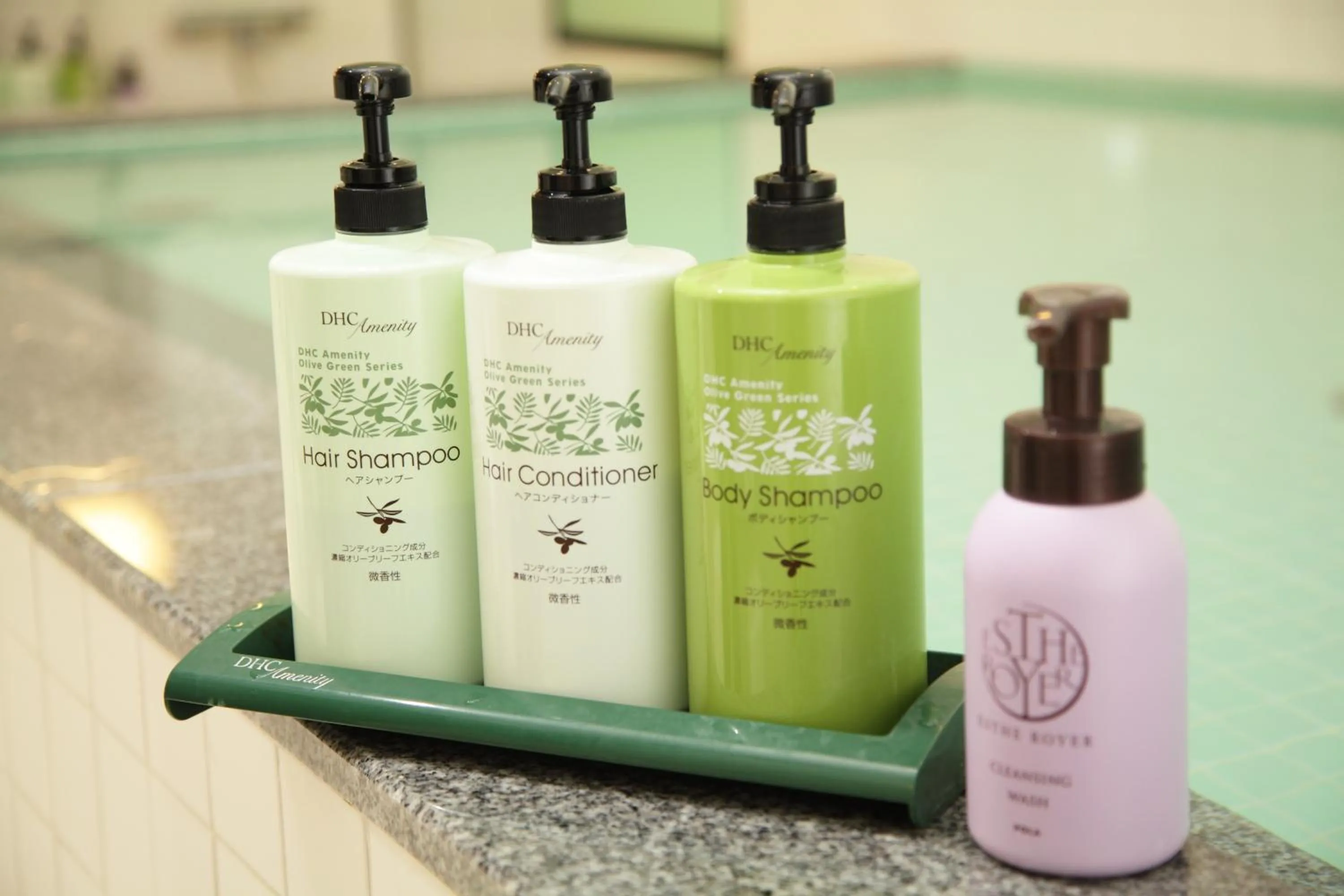 Public Bath in Hotel Chatelet Inn Kyoto