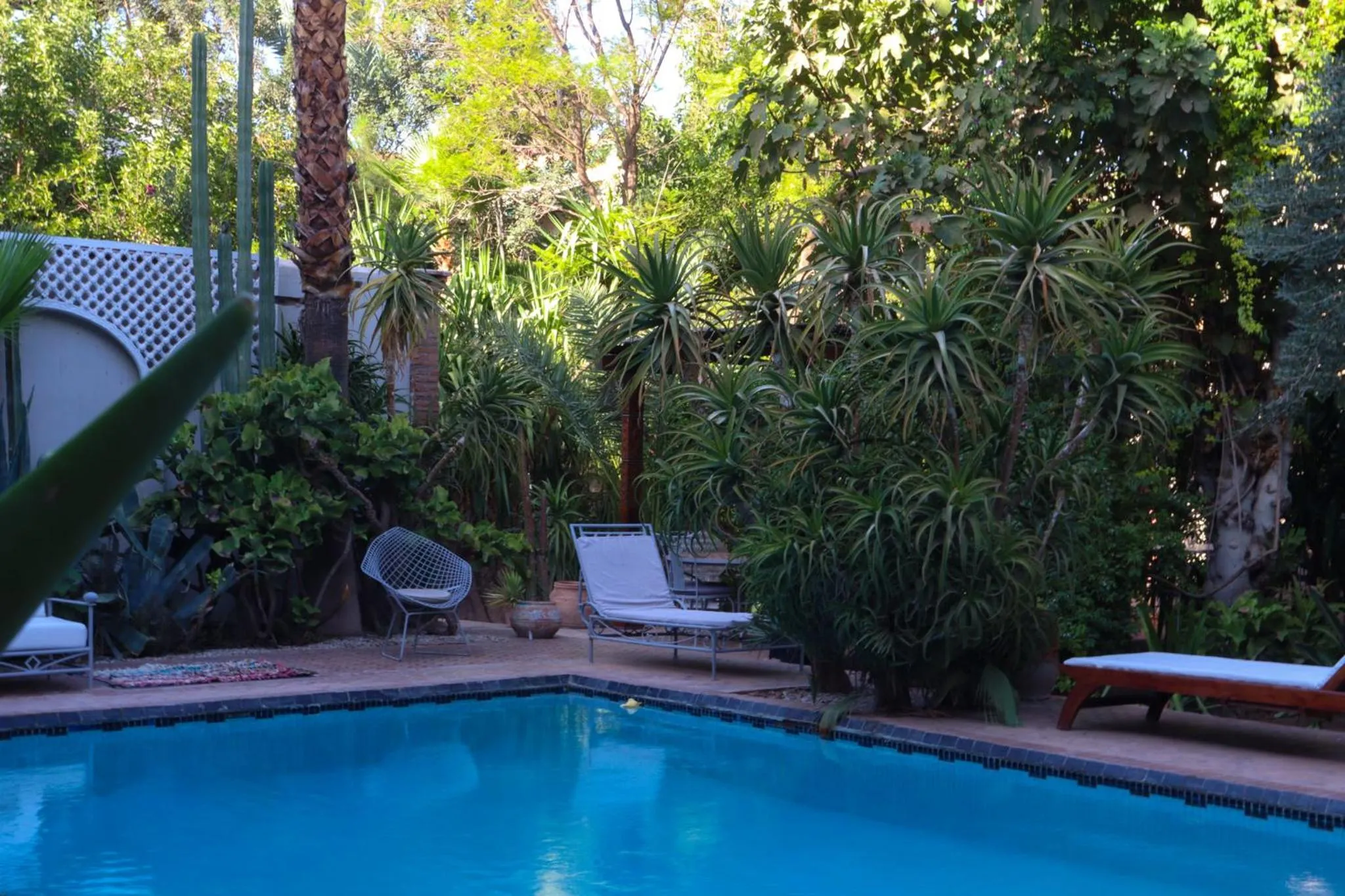 Pool view in Palais El Arsat & Spa