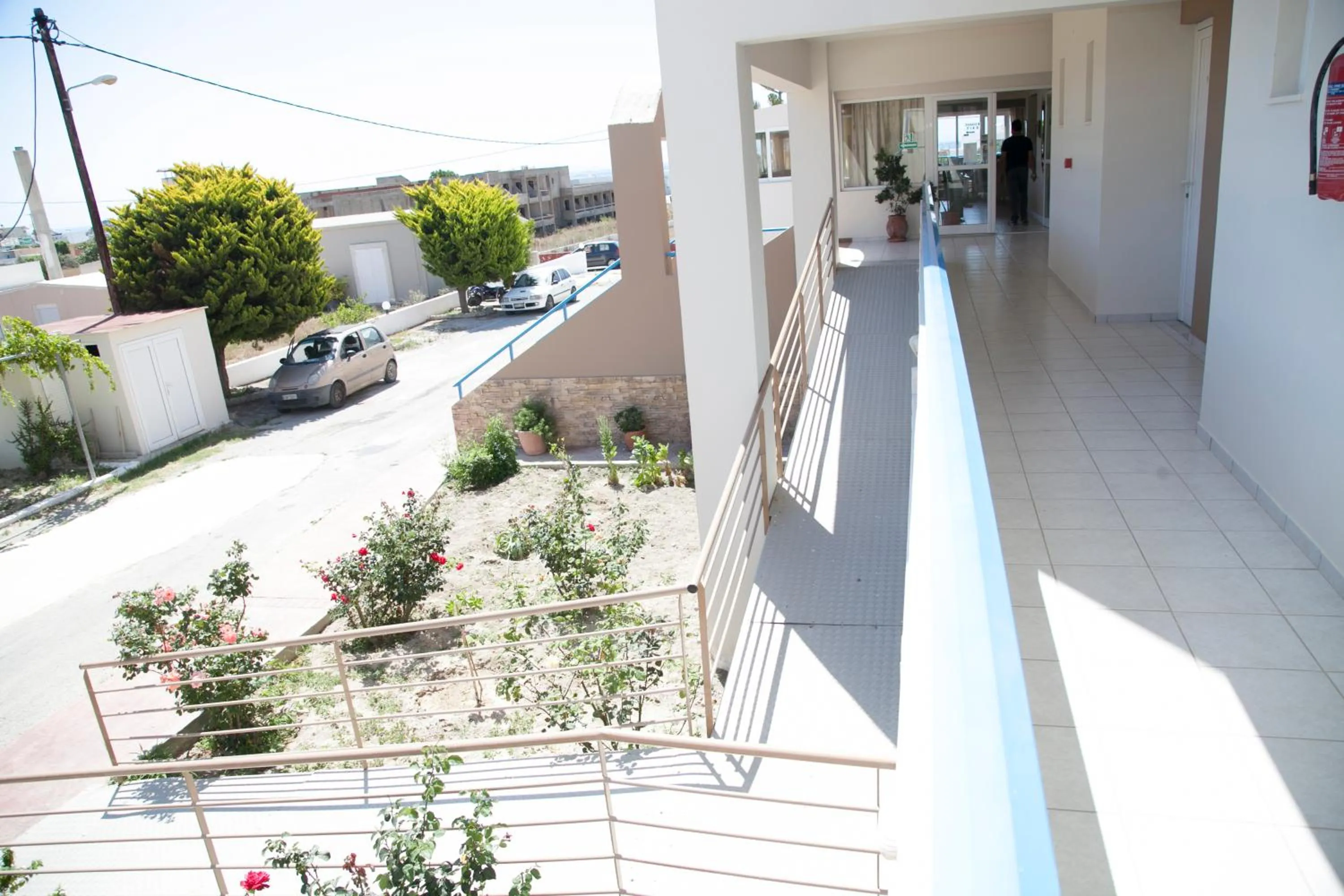 Garden in Hotel Athinoula