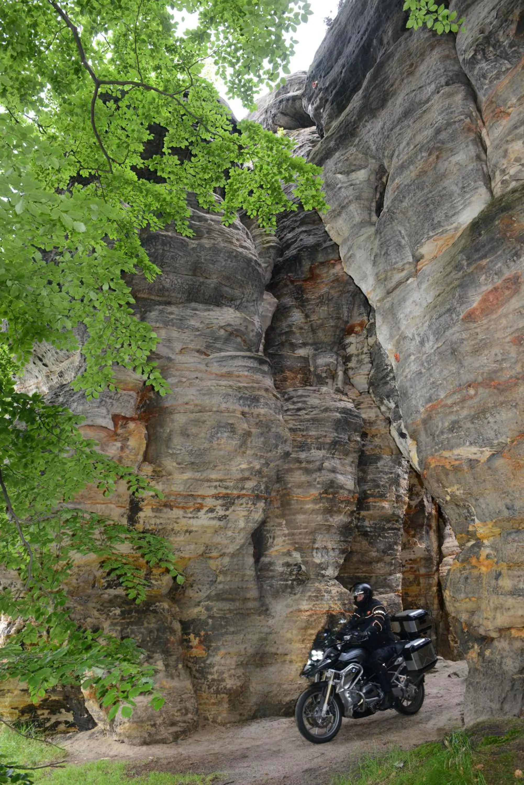 Natural landscape in Landhotel Flöhatal