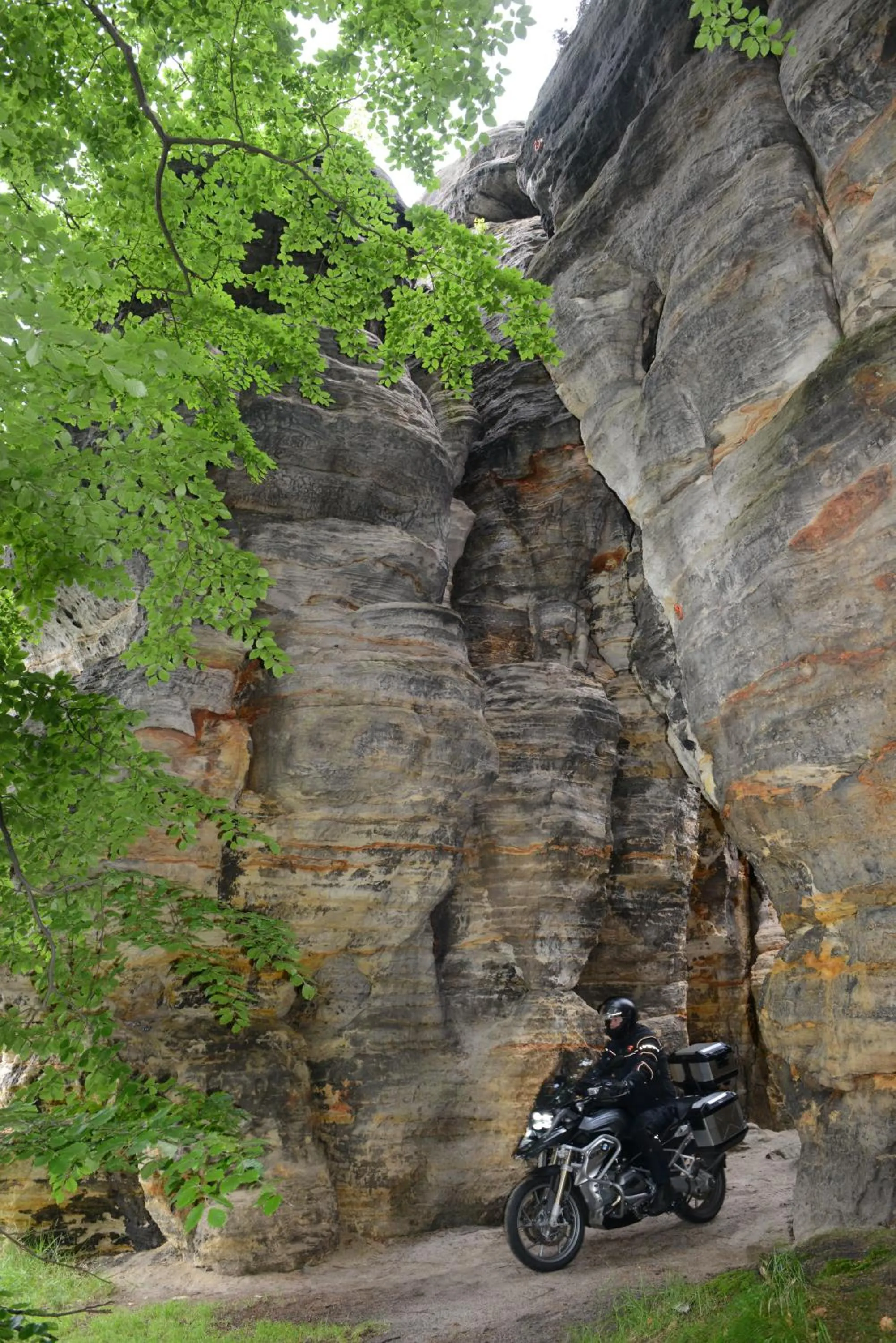 Area and facilities in Landhotel Flöhatal