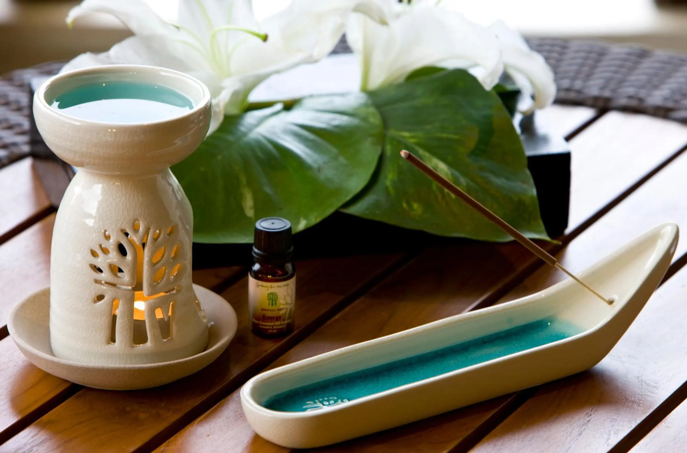 Spa and wellness centre/facilities in Banyan Tree Bintan