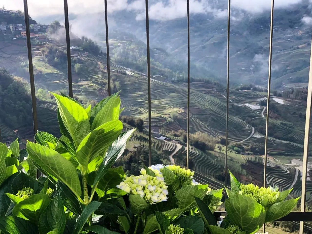 View (from property/room) in Pao's Sapa Leisure Hotel