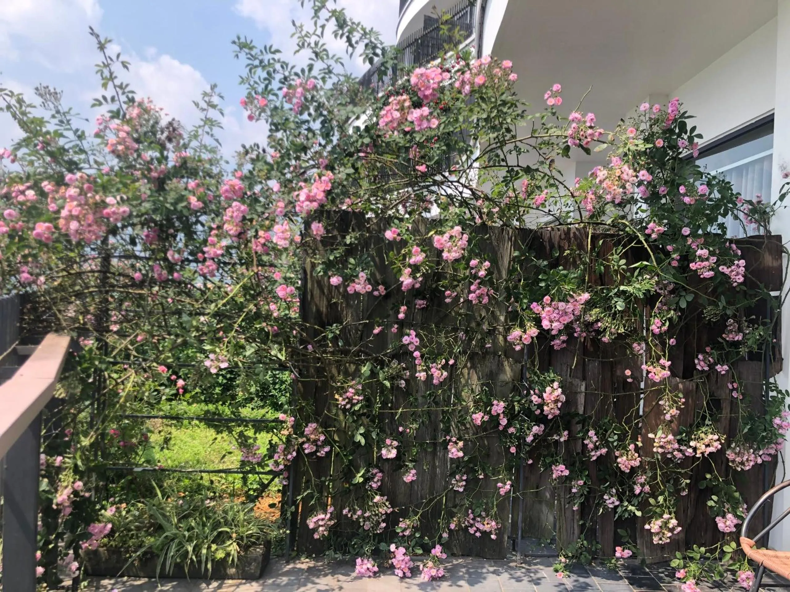 Balcony/Terrace in Pao's Sapa Leisure Hotel
