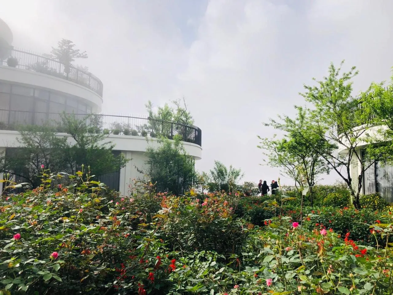 Garden in Pao's Sapa Leisure Hotel