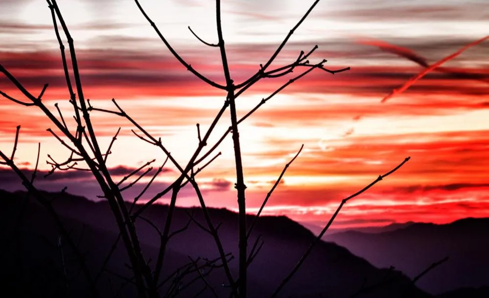 Viandanti, Artisti e Sognatori