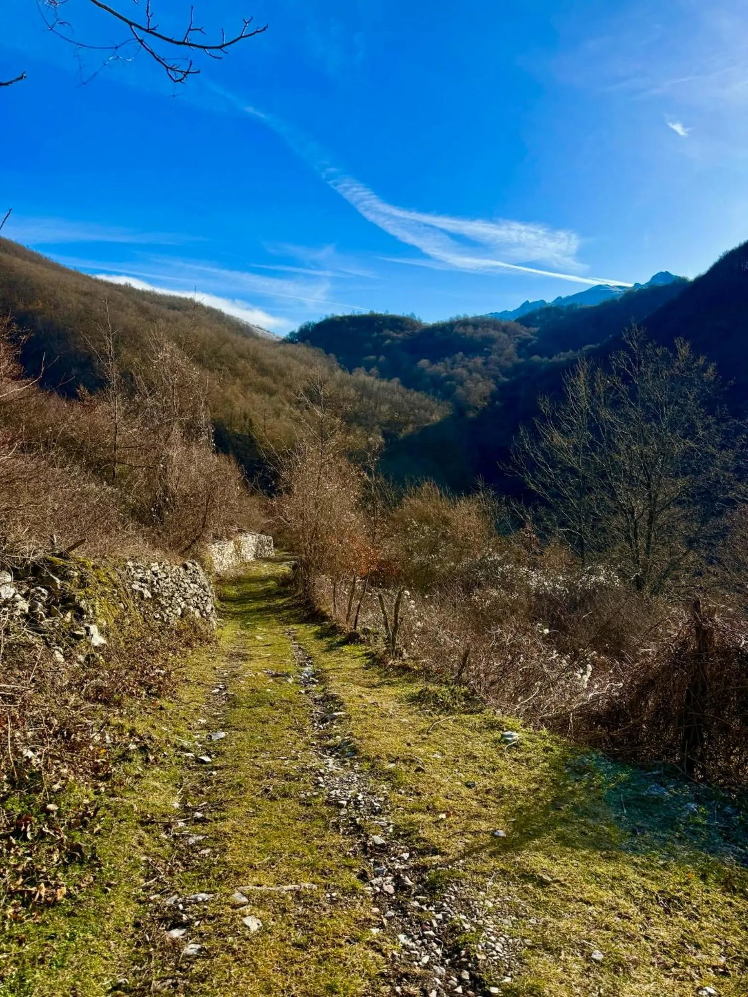 Nearby landmark in Viandanti, Artisti e Sognatori
