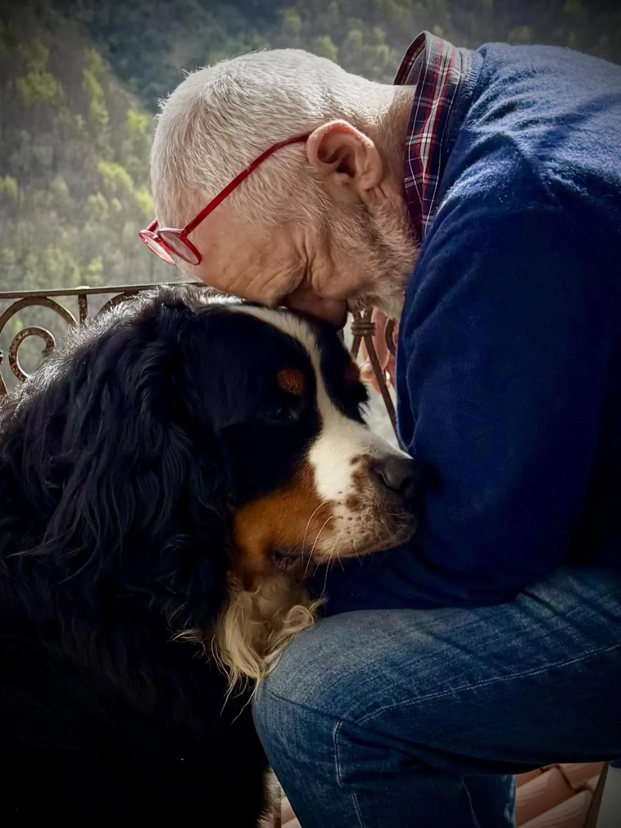 Animals in Viandanti, Artisti e Sognatori