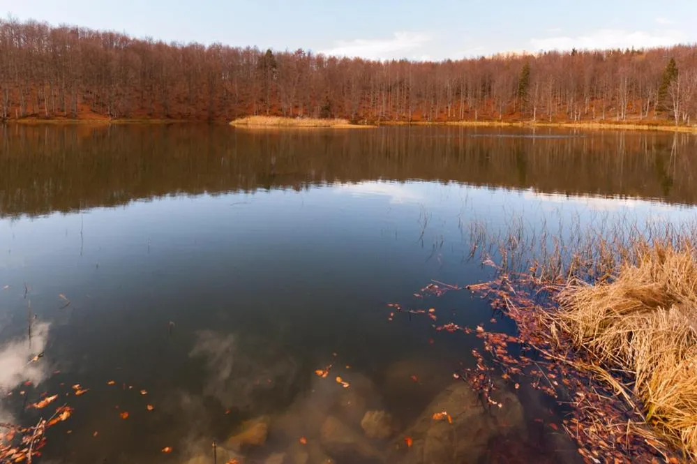 Viandanti, Artisti e Sognatori