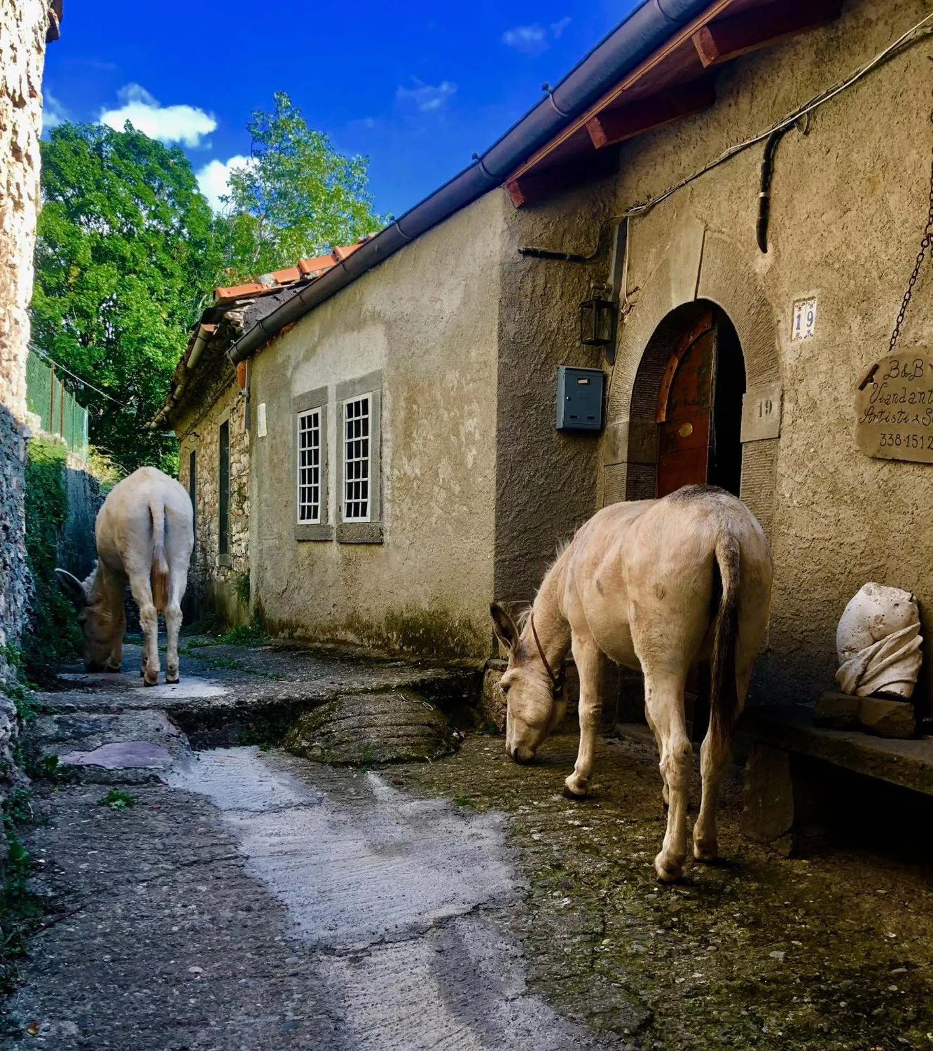 Animals in Viandanti, Artisti e Sognatori