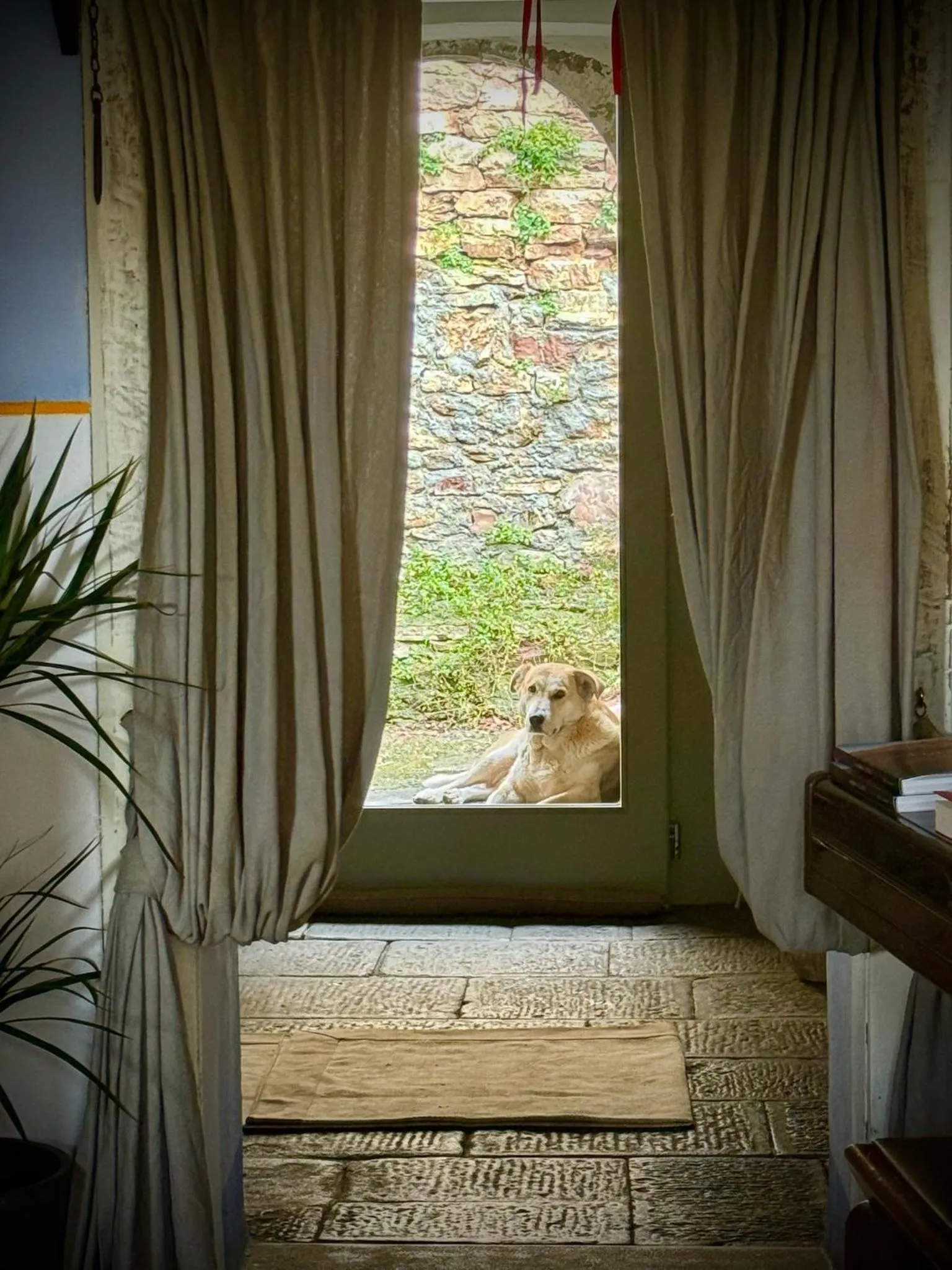 Animals in Viandanti, Artisti e Sognatori