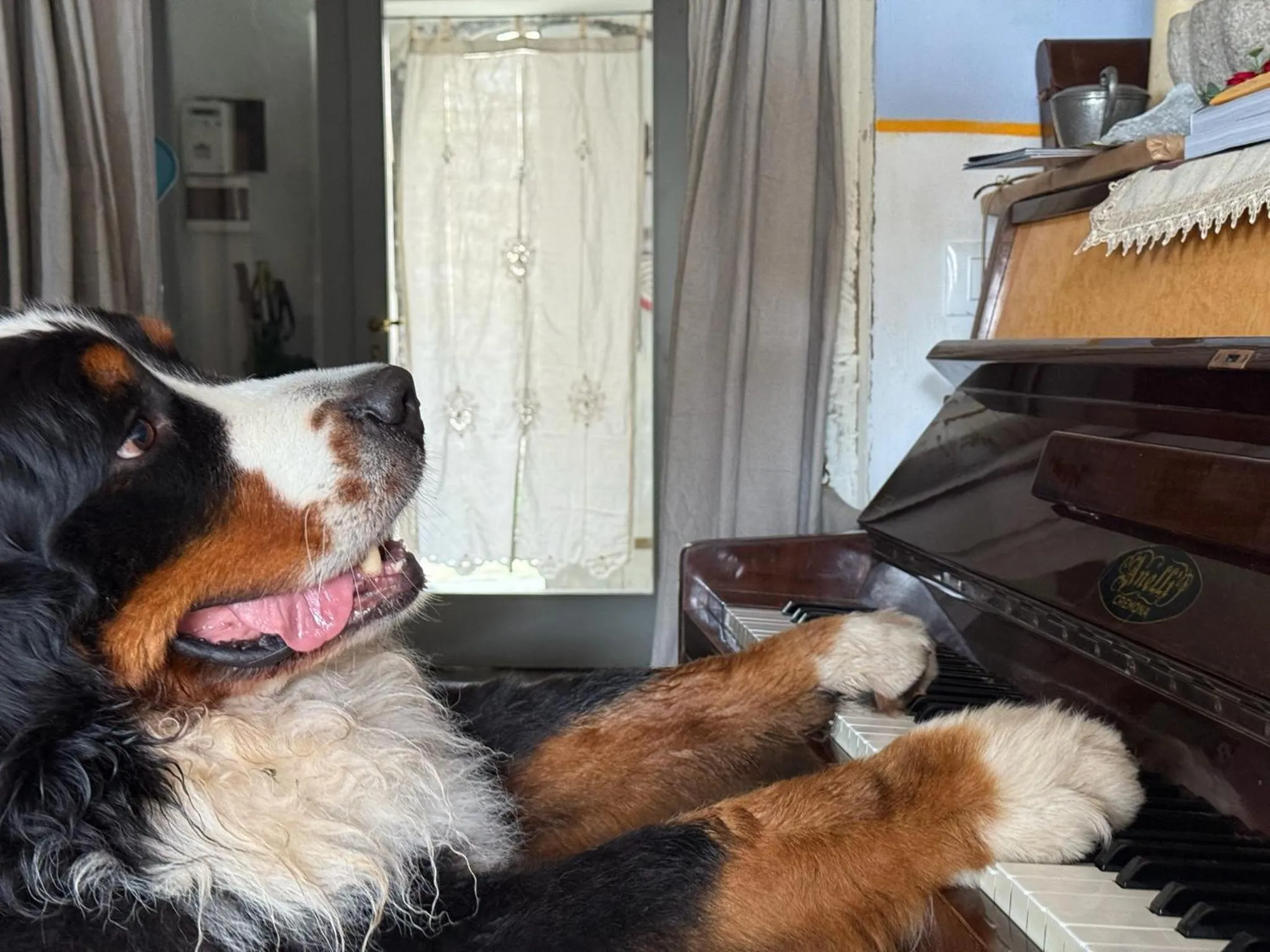 Animals in Viandanti, Artisti e Sognatori