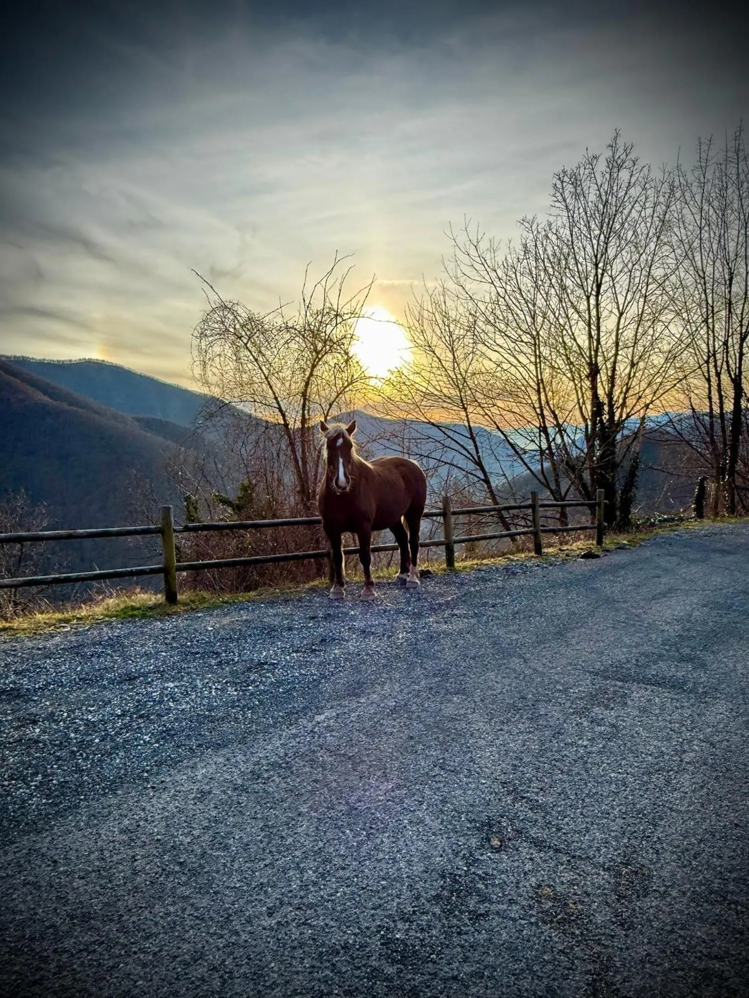Natural landscape in Viandanti, Artisti e Sognatori