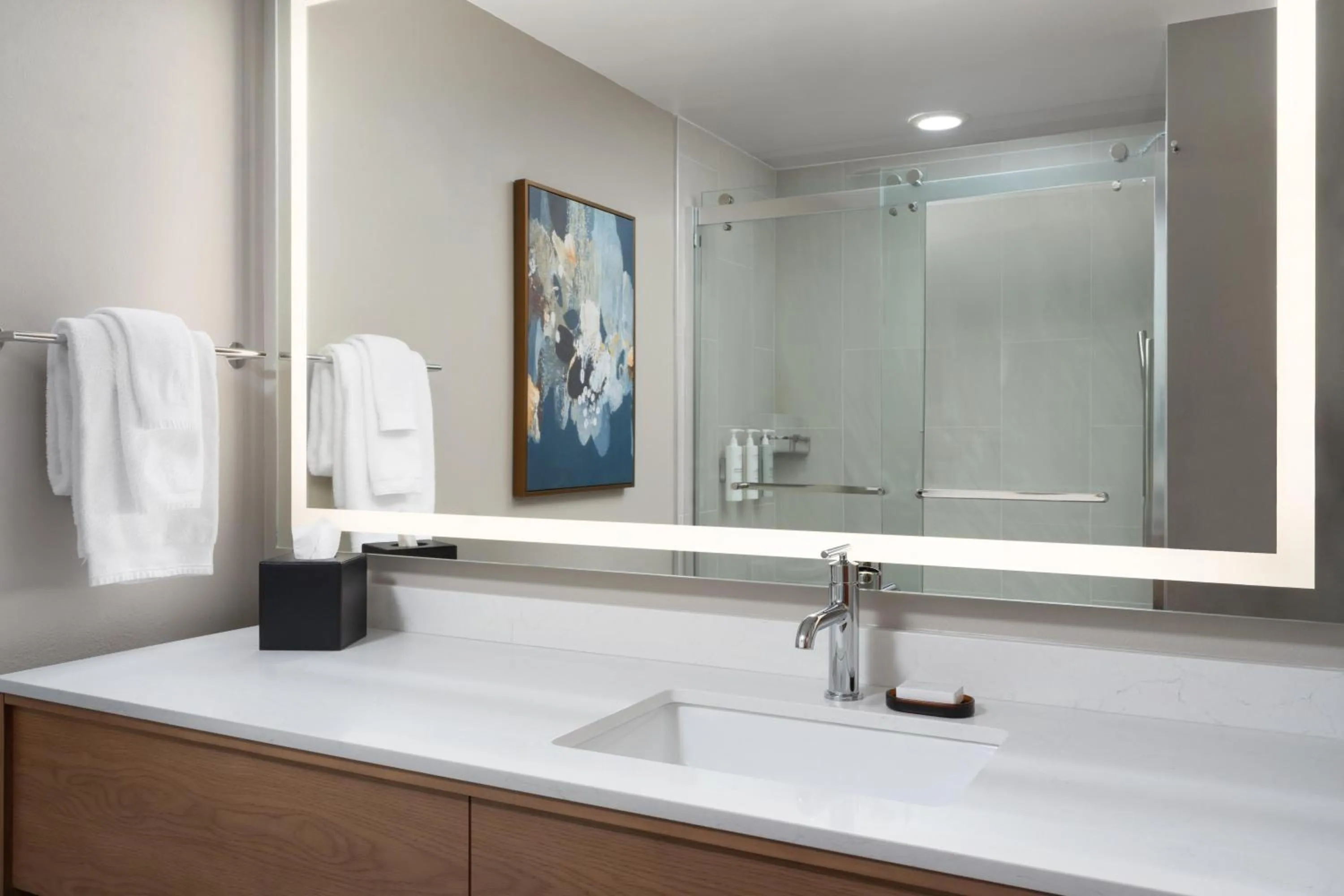 Bathroom in Embassy Suites by Hilton Franklin Cool Spring