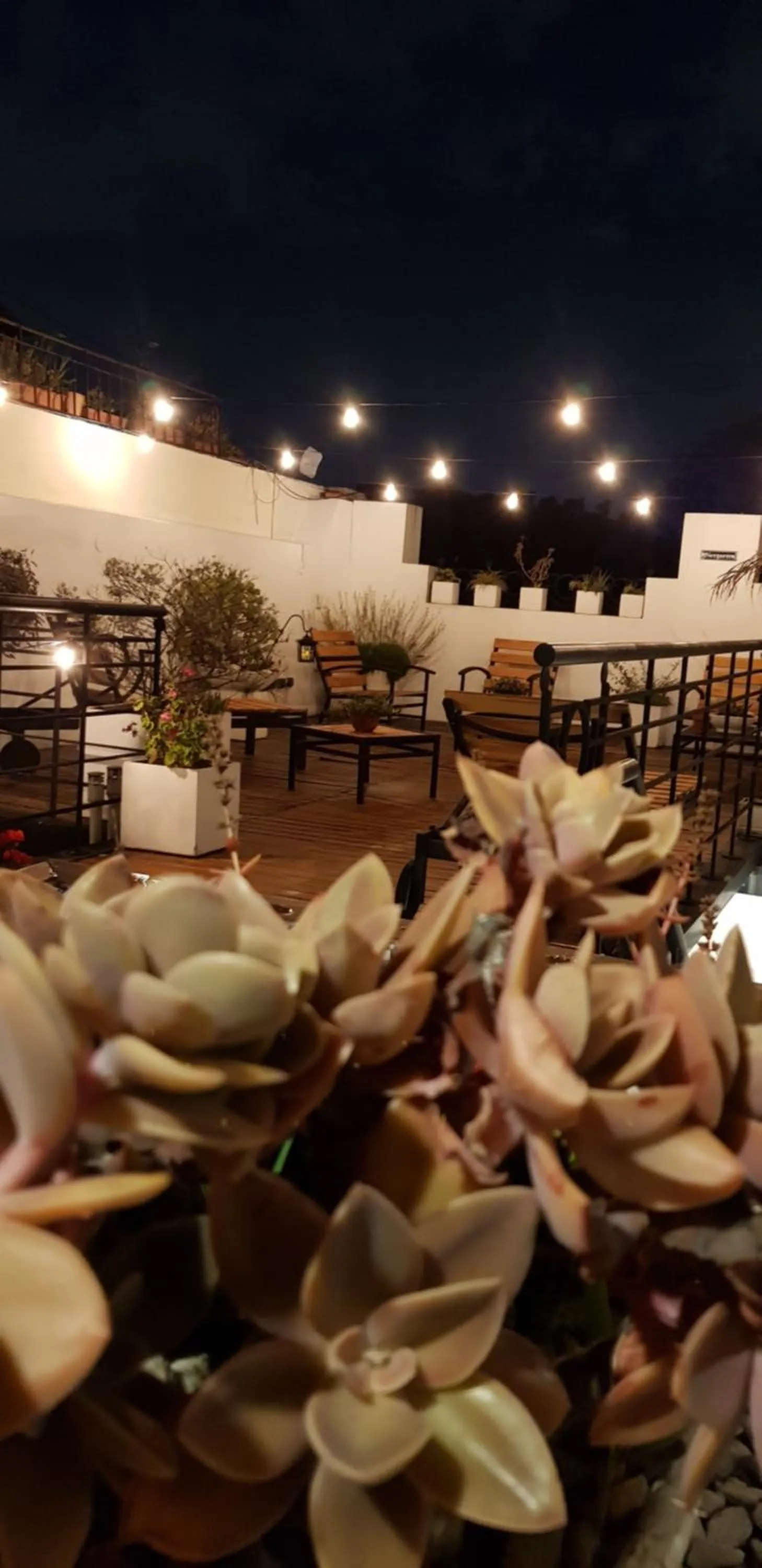 Balcony/Terrace in Telmho Hotel Boutique