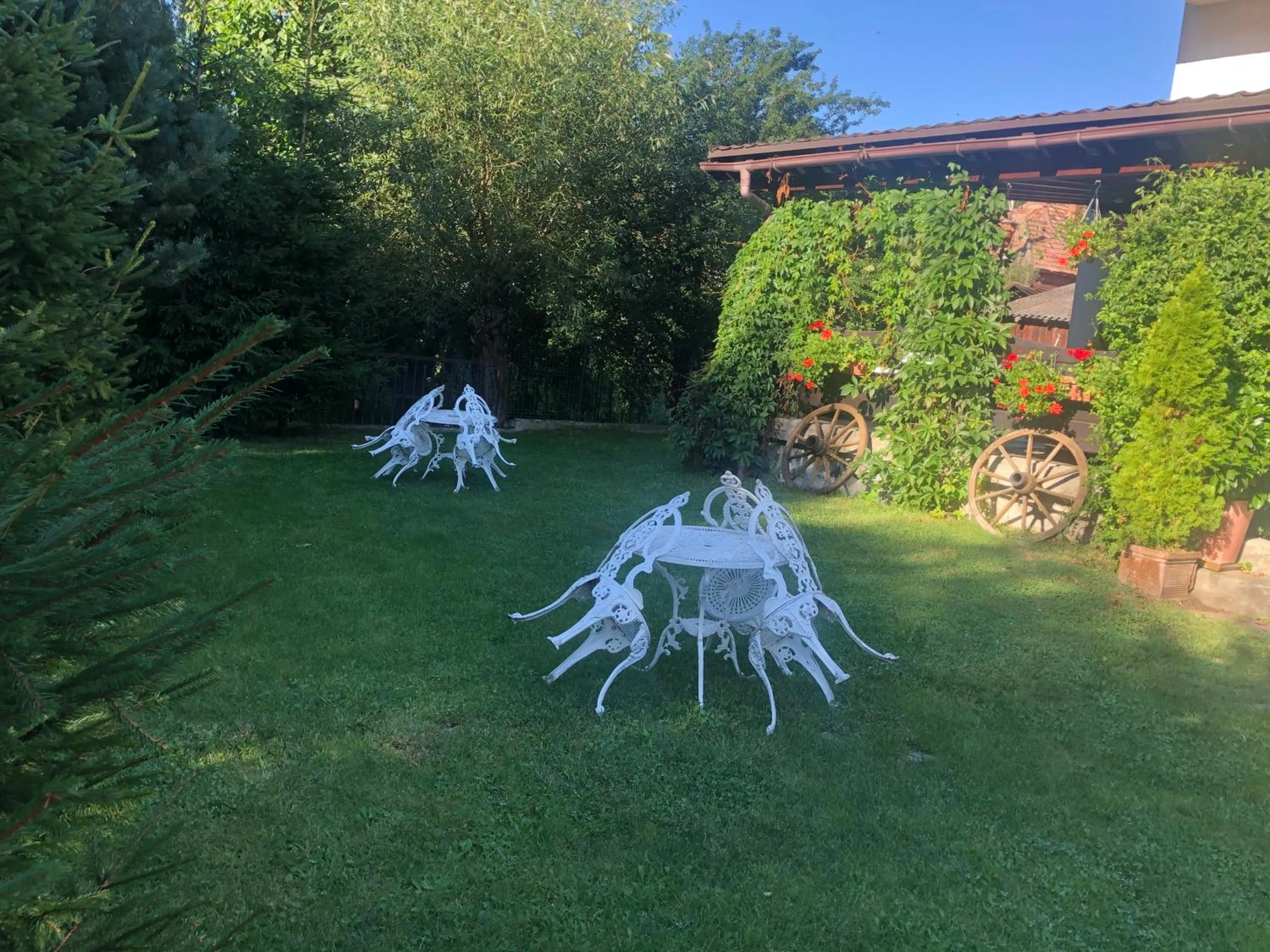 Garden in Hotel boutique Garden Resort by Brancoveanu