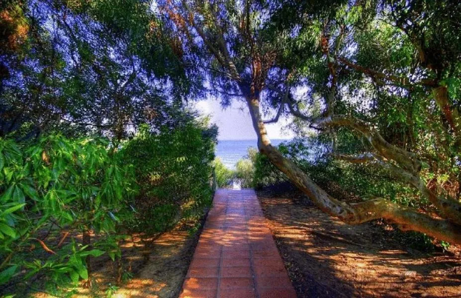 Garden in Hurricane Beach Hotel