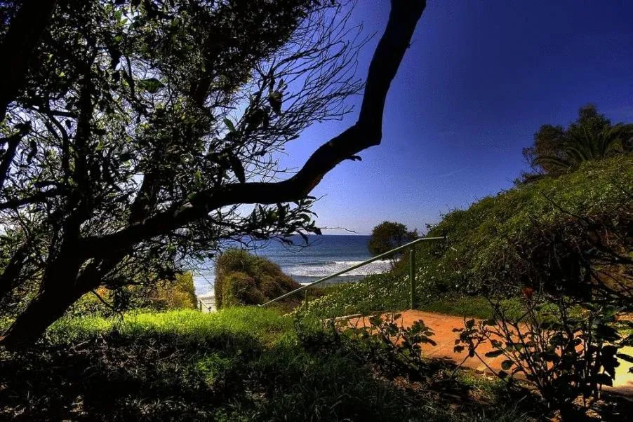 View (from property/room), Natural Landscape in Hurricane Beach Hotel