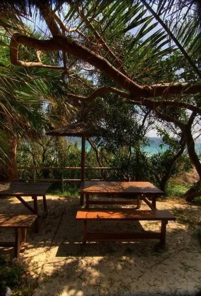Balcony/Terrace, Garden in Hurricane Beach Hotel