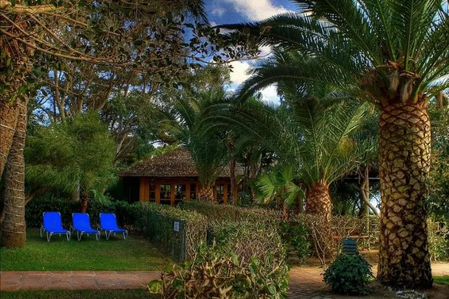Garden, Property Building in Hurricane Beach Hotel