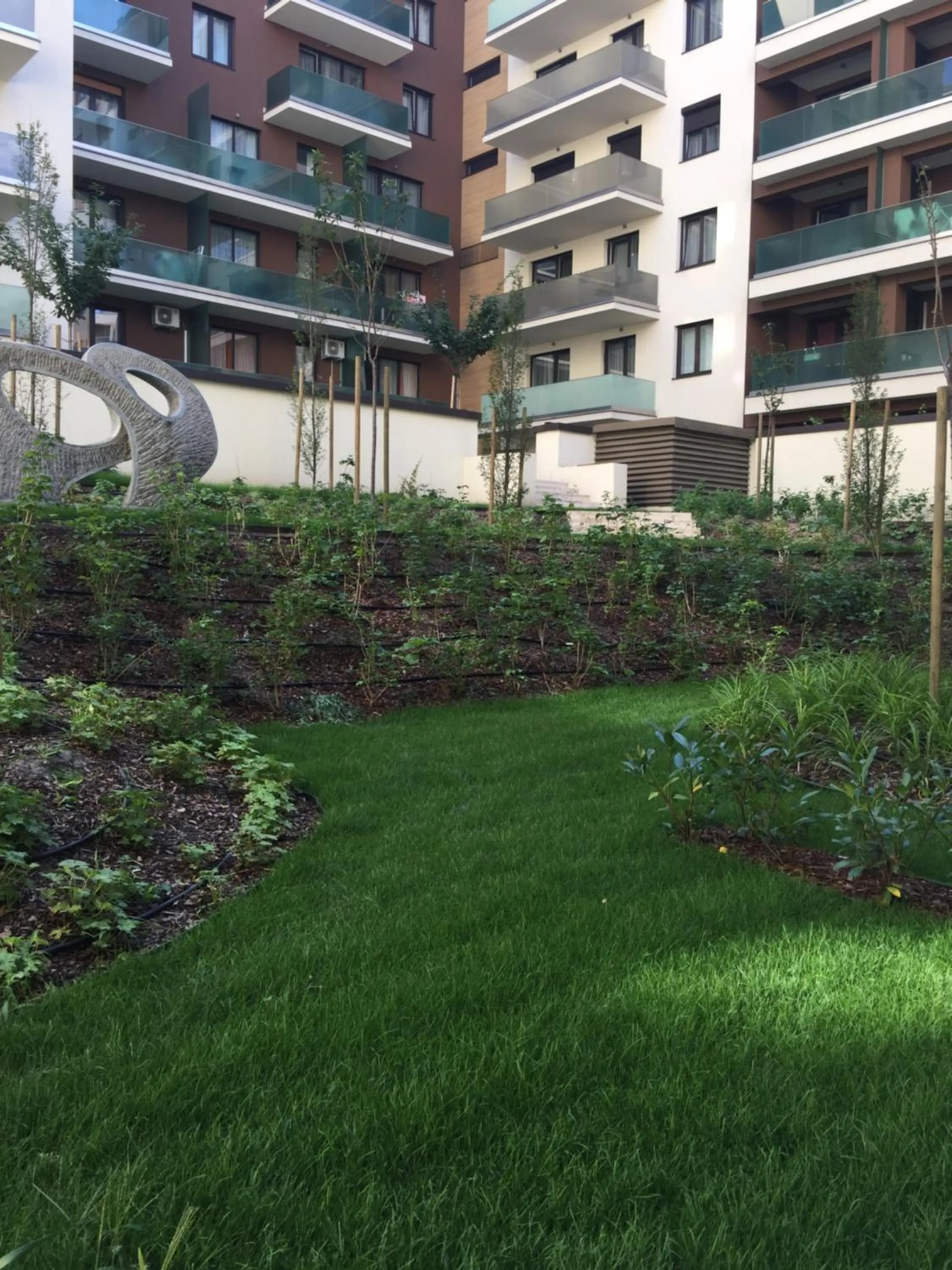 Garden in Corvin Rose Apartment Hotel
