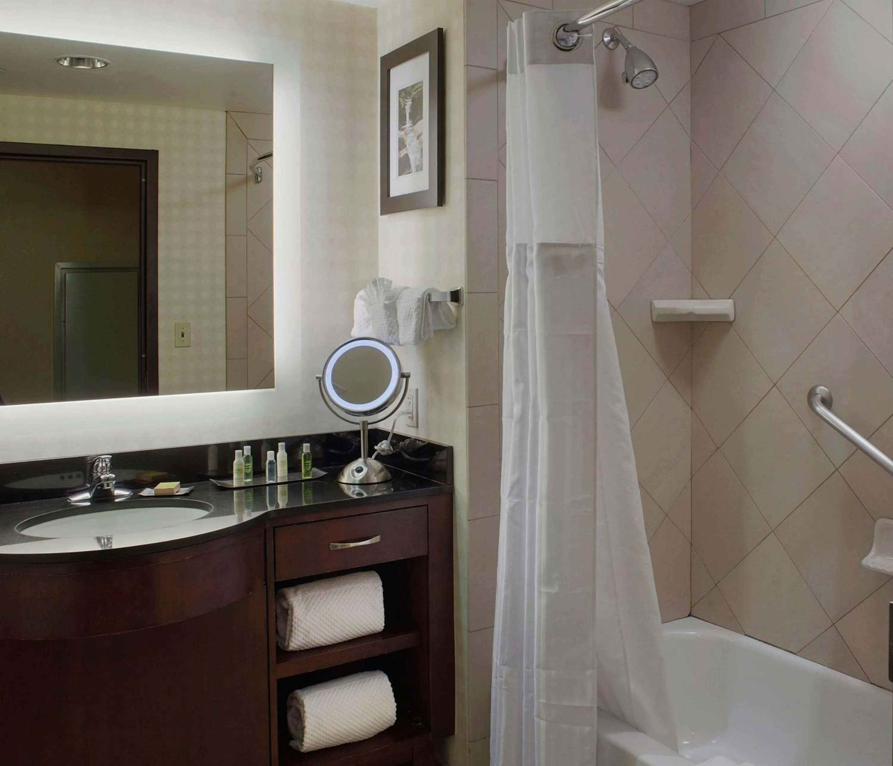 Shower in DoubleTree Suites by Hilton Bentonville