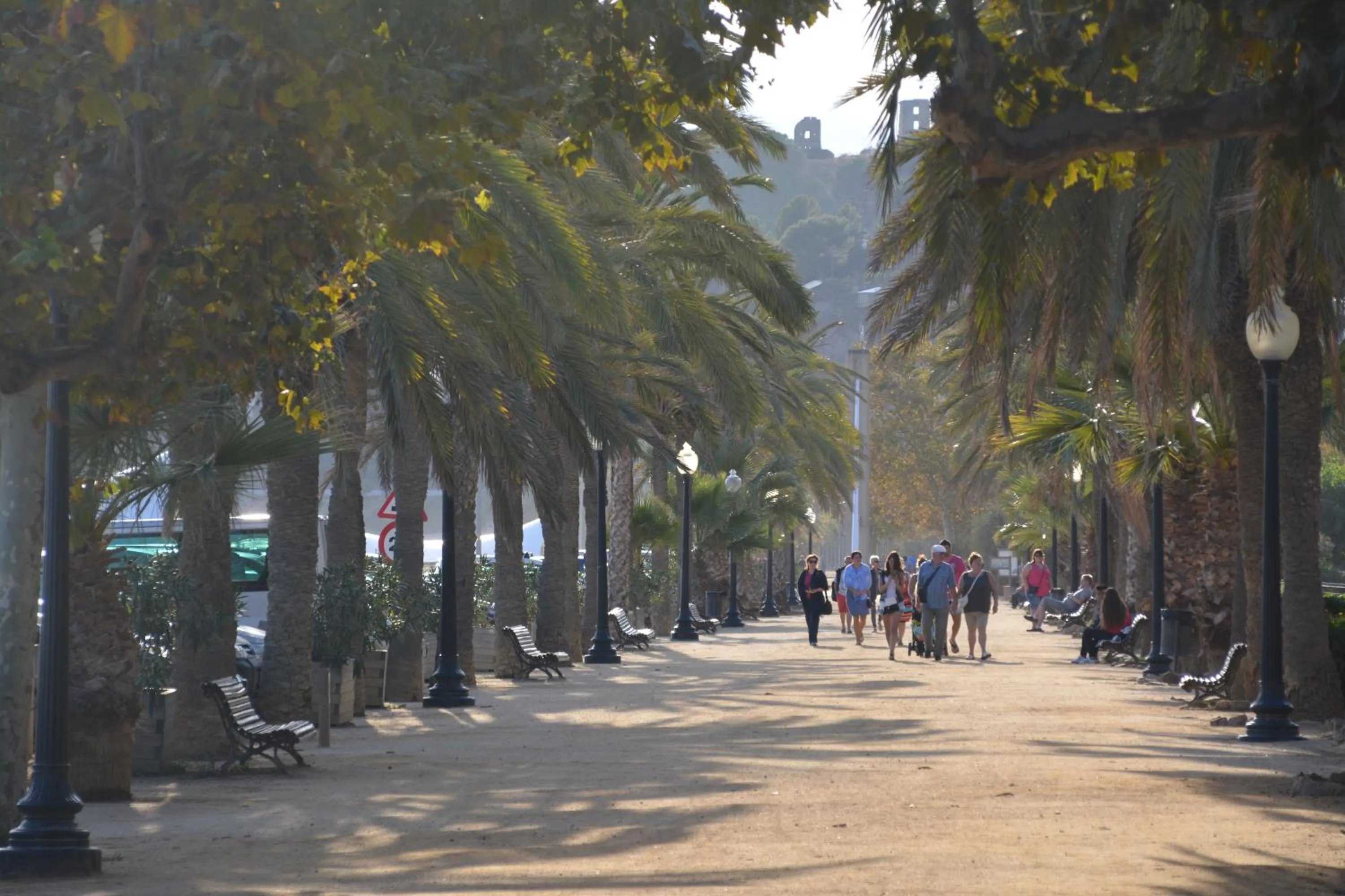 Natural landscape in Apartamentos Comfort Calella