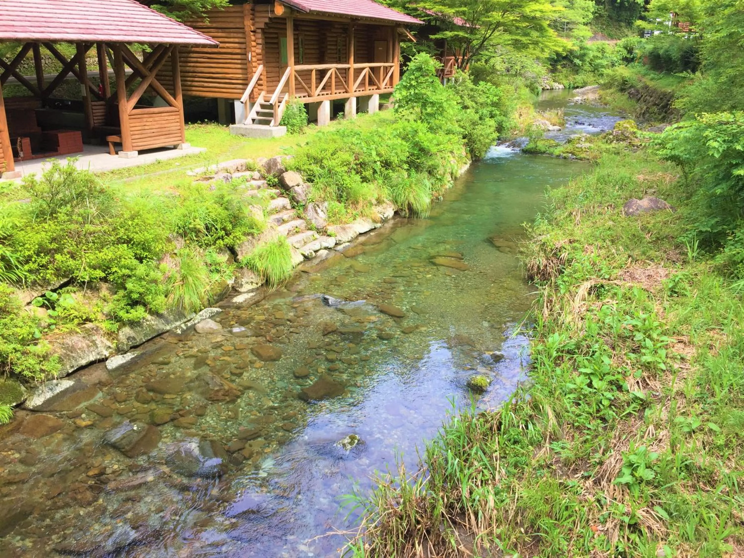Natural landscape in Nature Resort in Shimanto