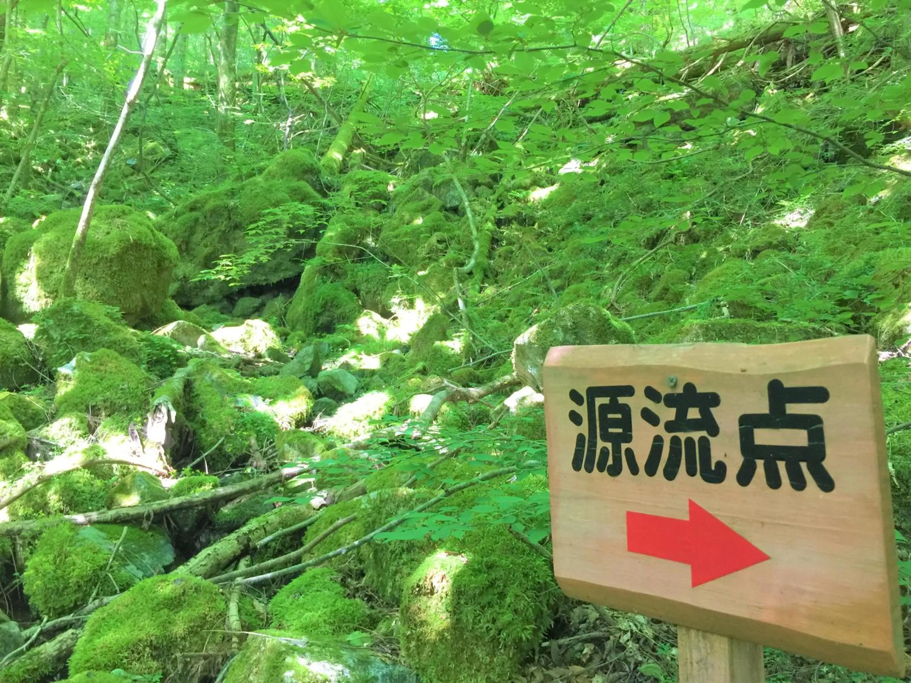 Other in Nature Resort in Shimanto