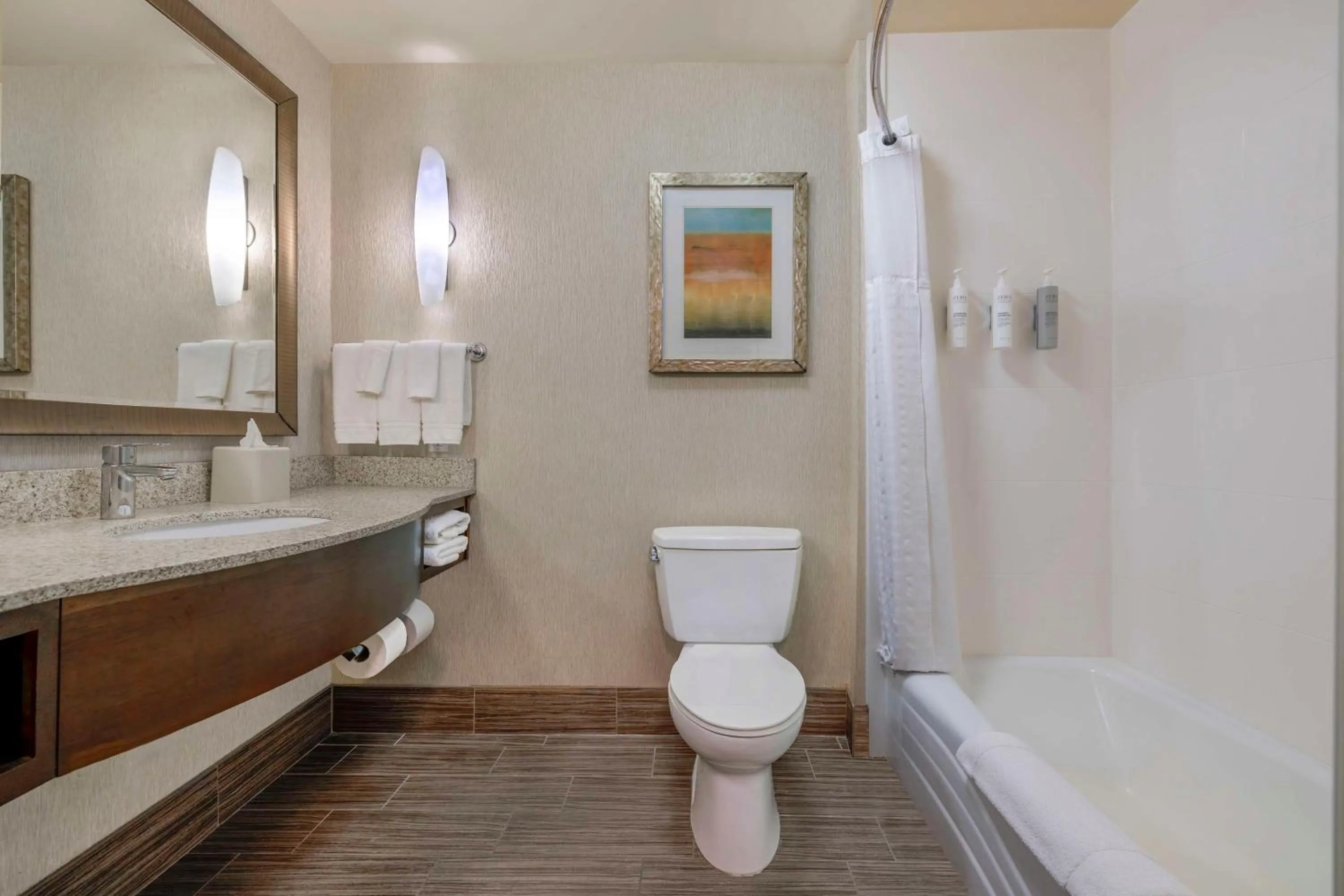 Bathroom in Hilton Garden Inn Boise Spectrum