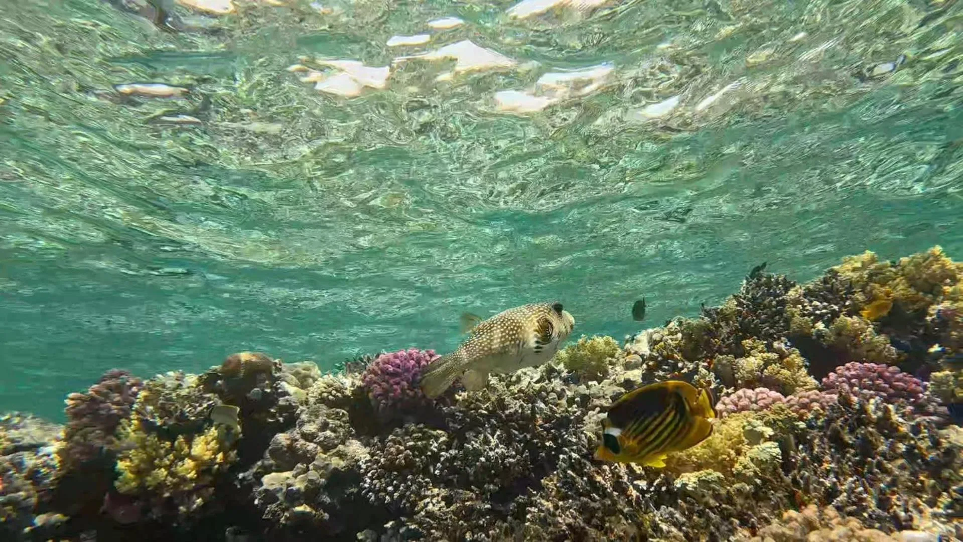 Sharm El Naga Resort and Diving Center