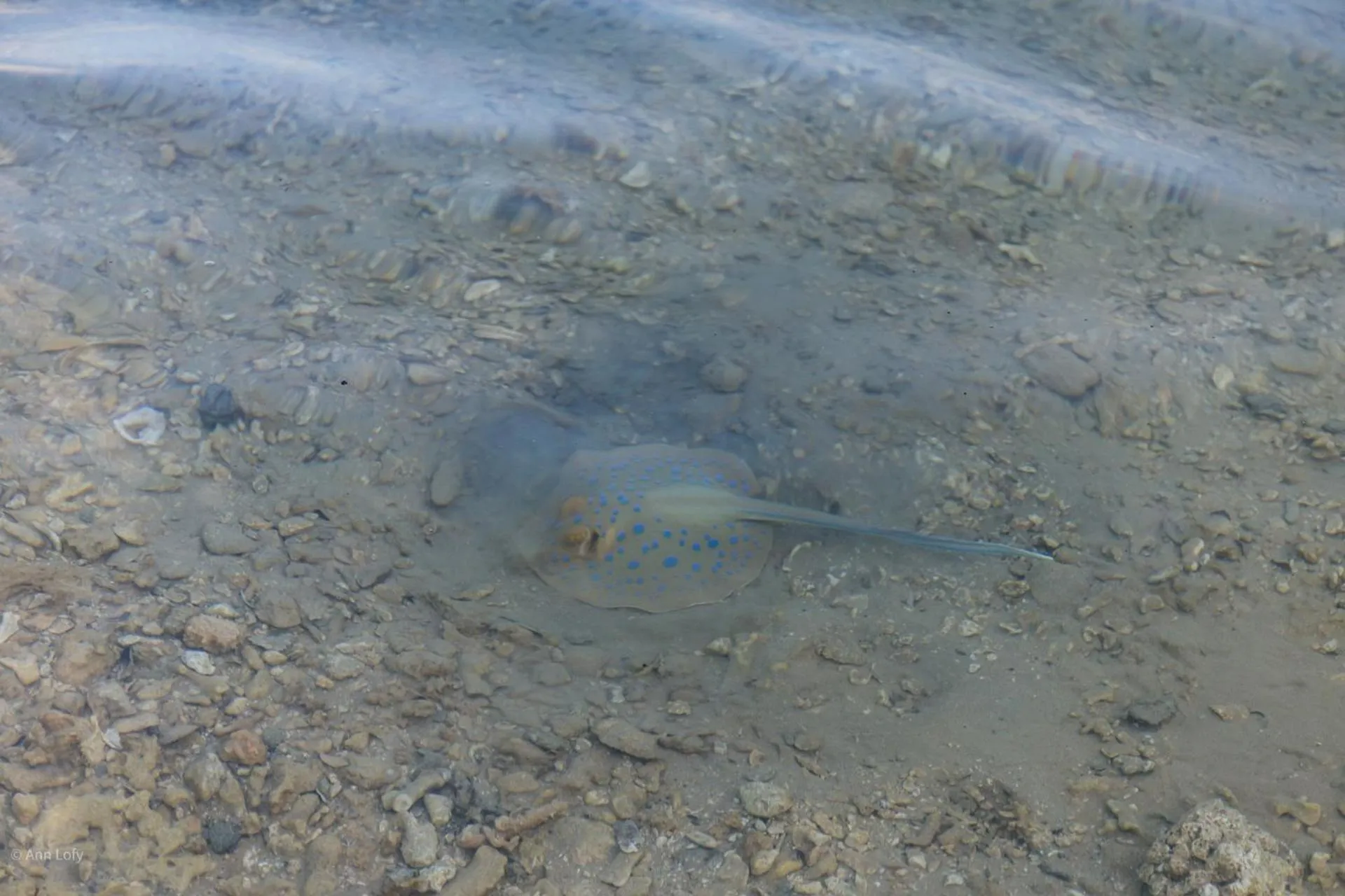 Sharm El Naga Resort and Diving Center