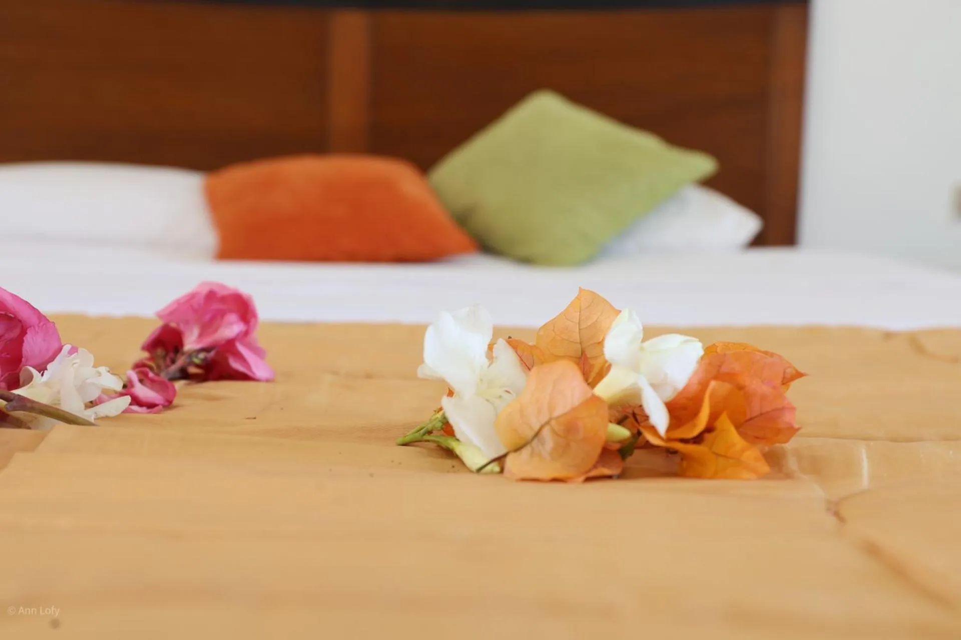 Bed in Sharm El Naga Resort and Diving Center