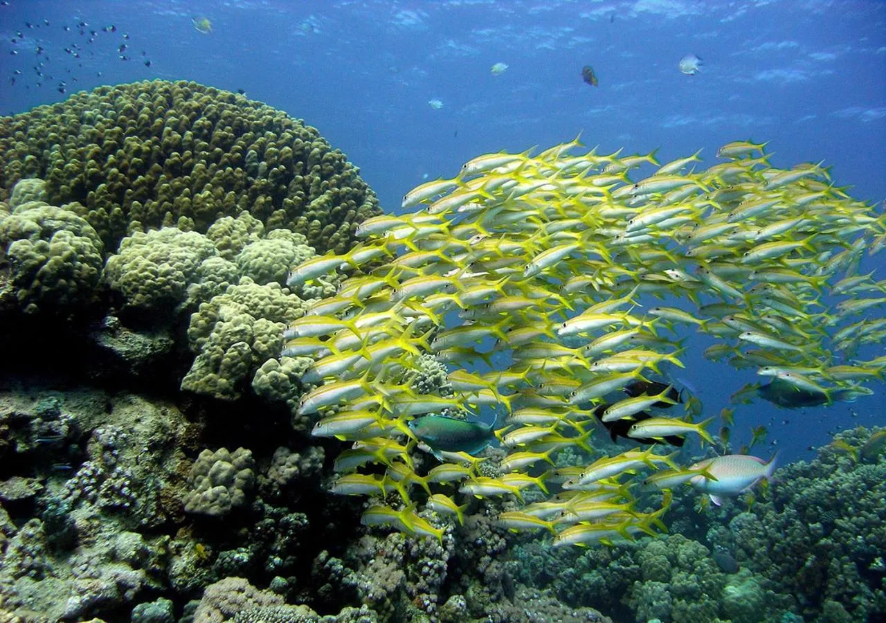 Sharm El Naga Resort and Diving Center