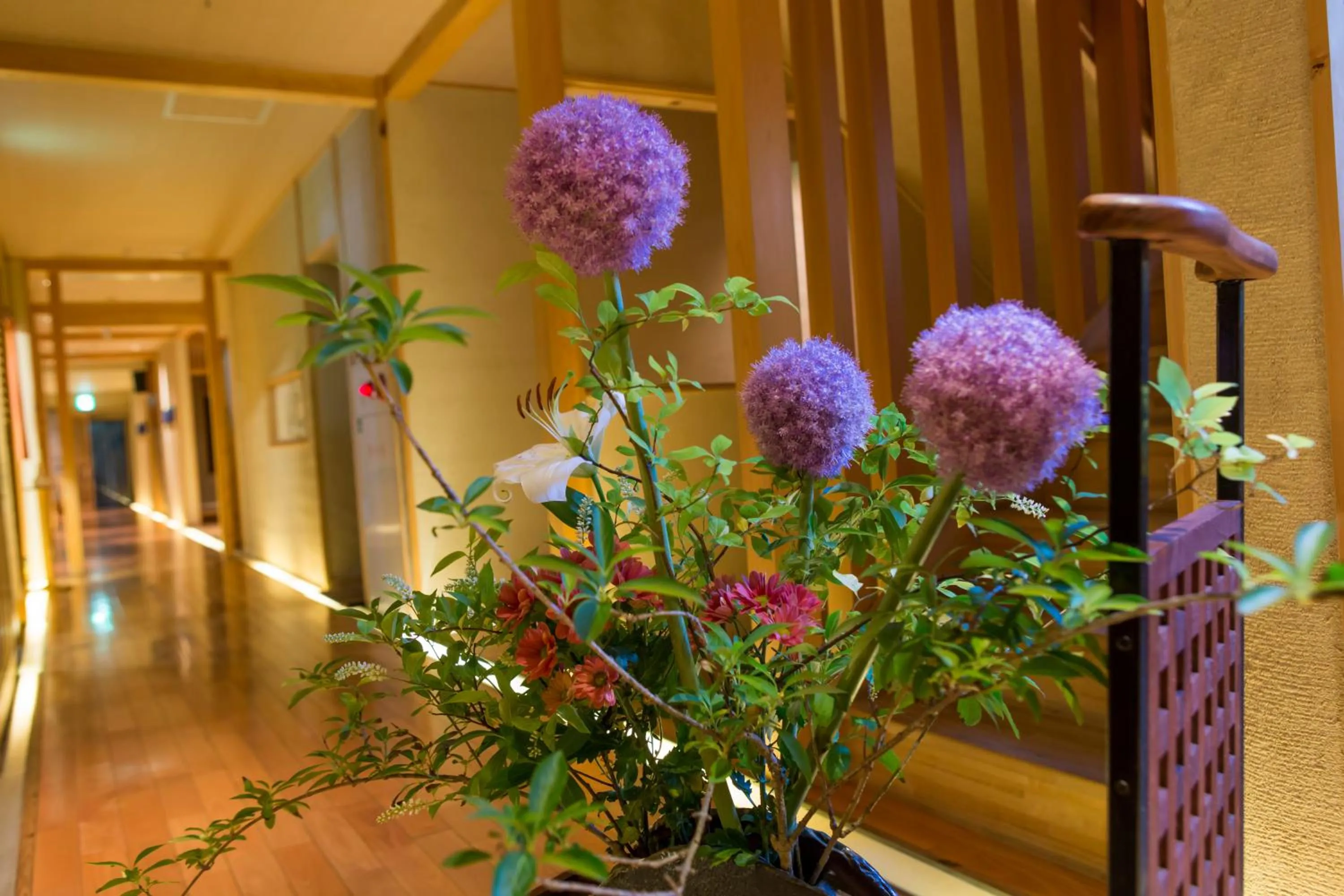 Restaurant/places to eat in Toushinan Komeya