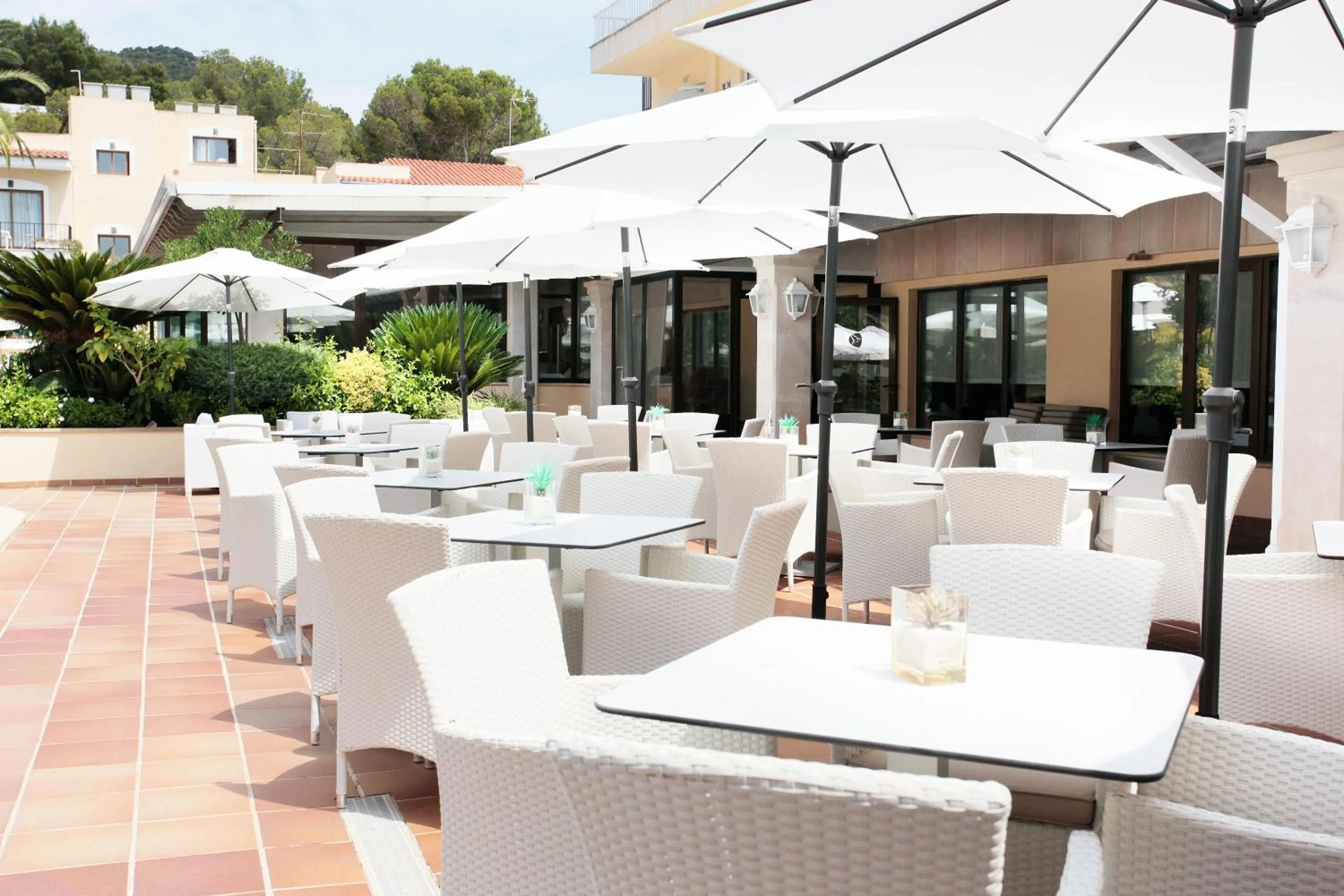 Restaurant/places to eat in Grupotel Nilo & Spa