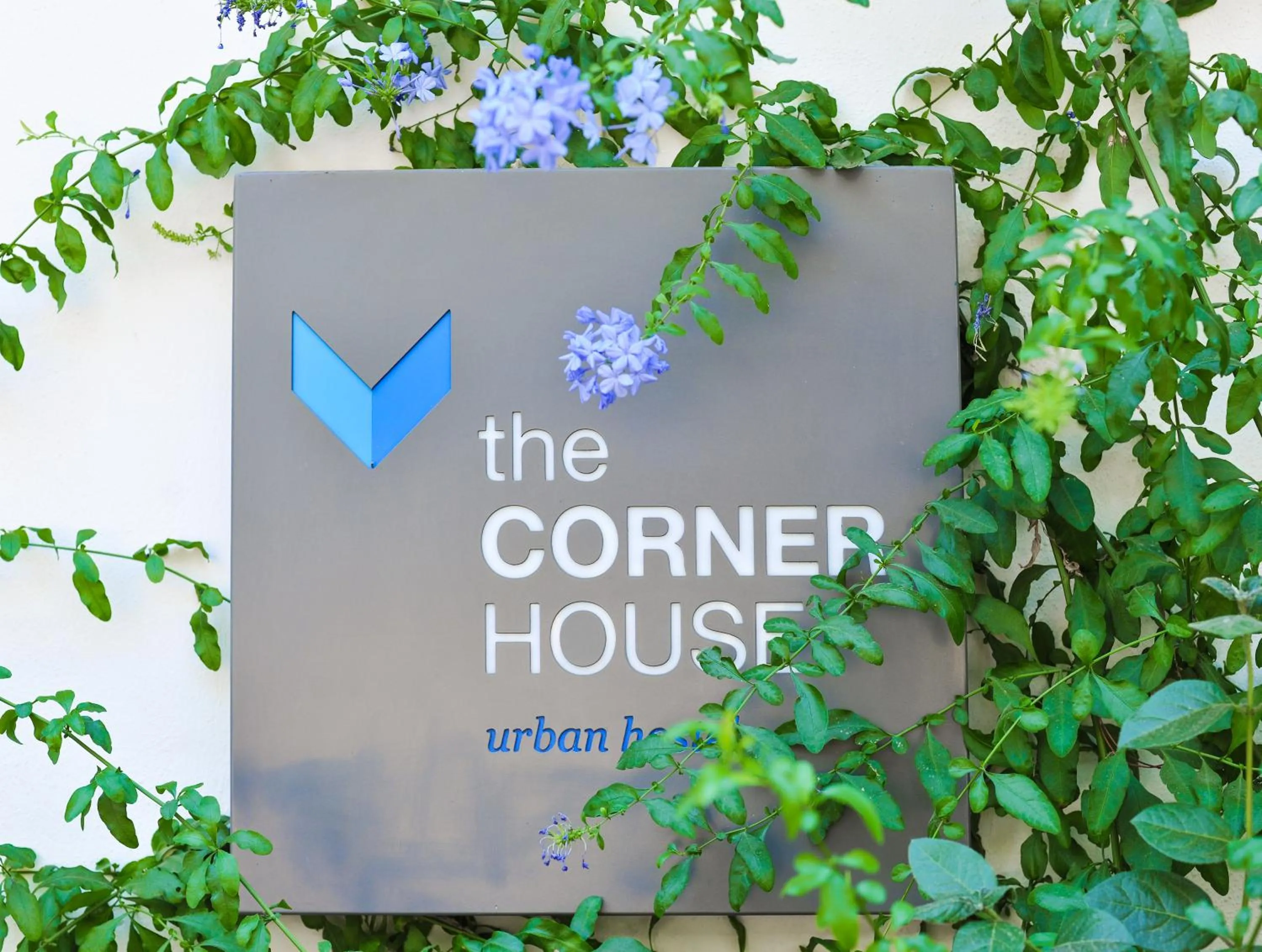 Property building in The Corner House