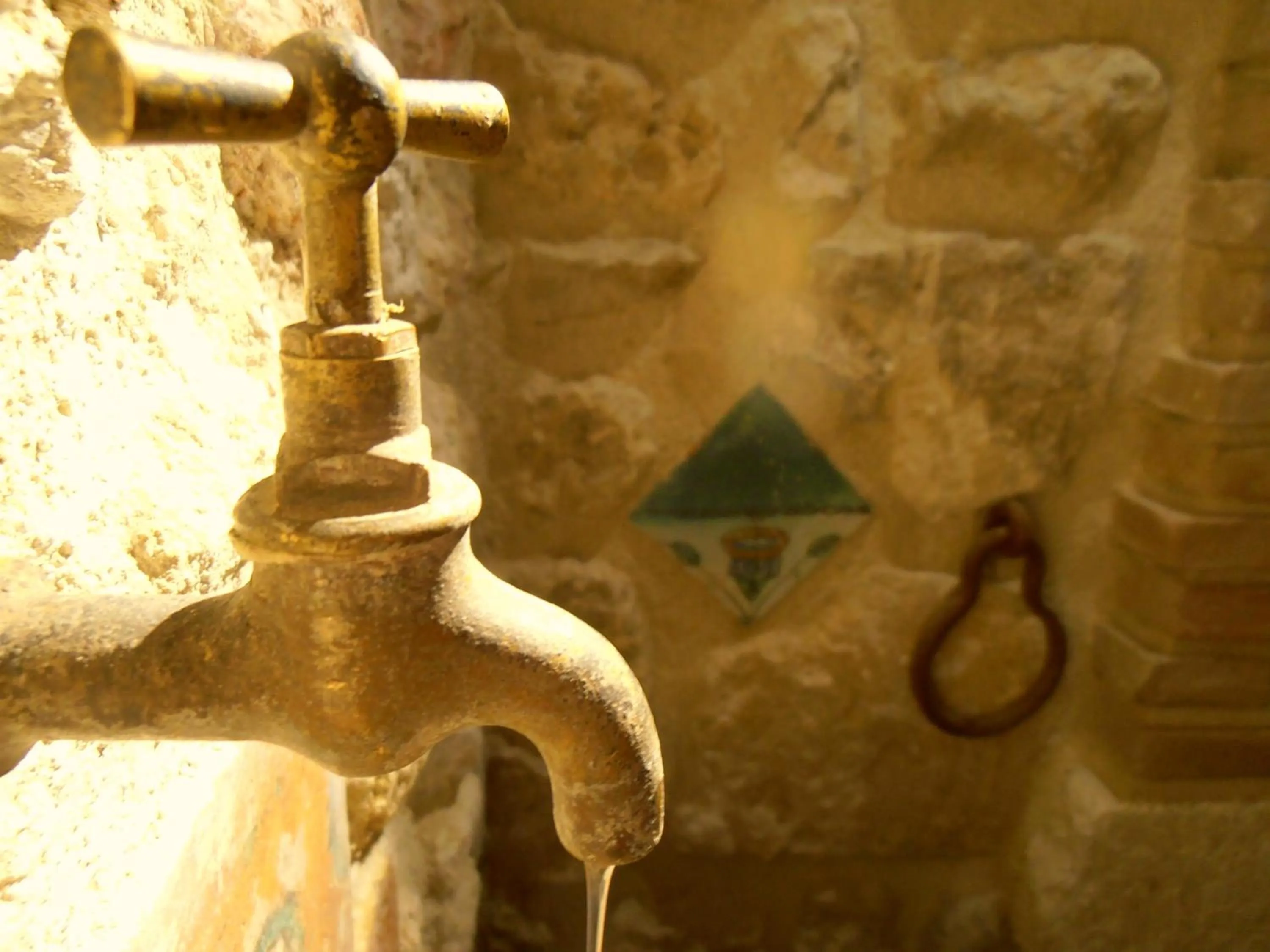 Decorative detail in Il Castello