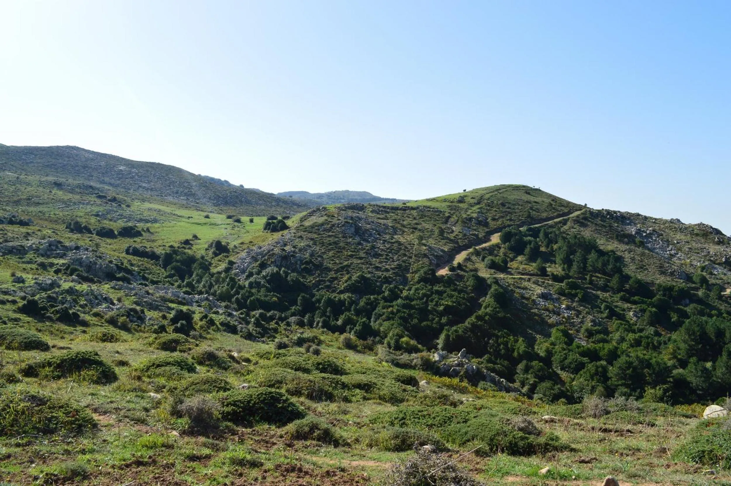 Other in Il Castello