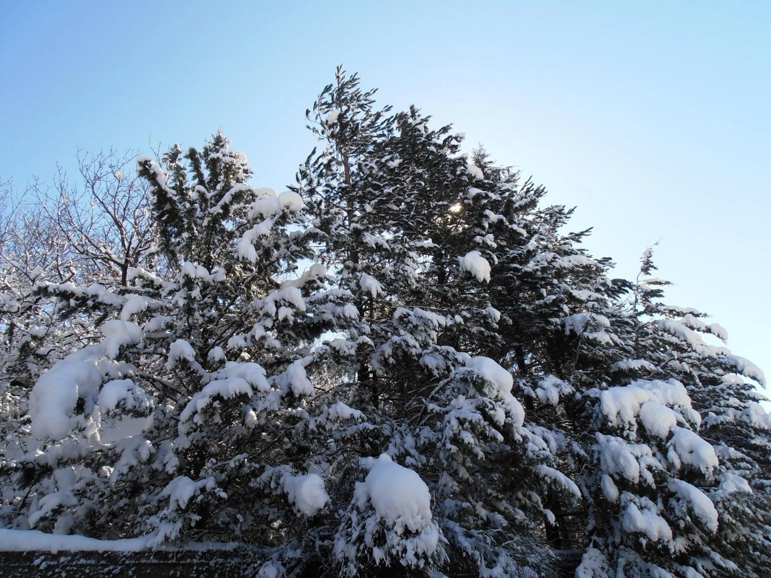 Other in Il Castello