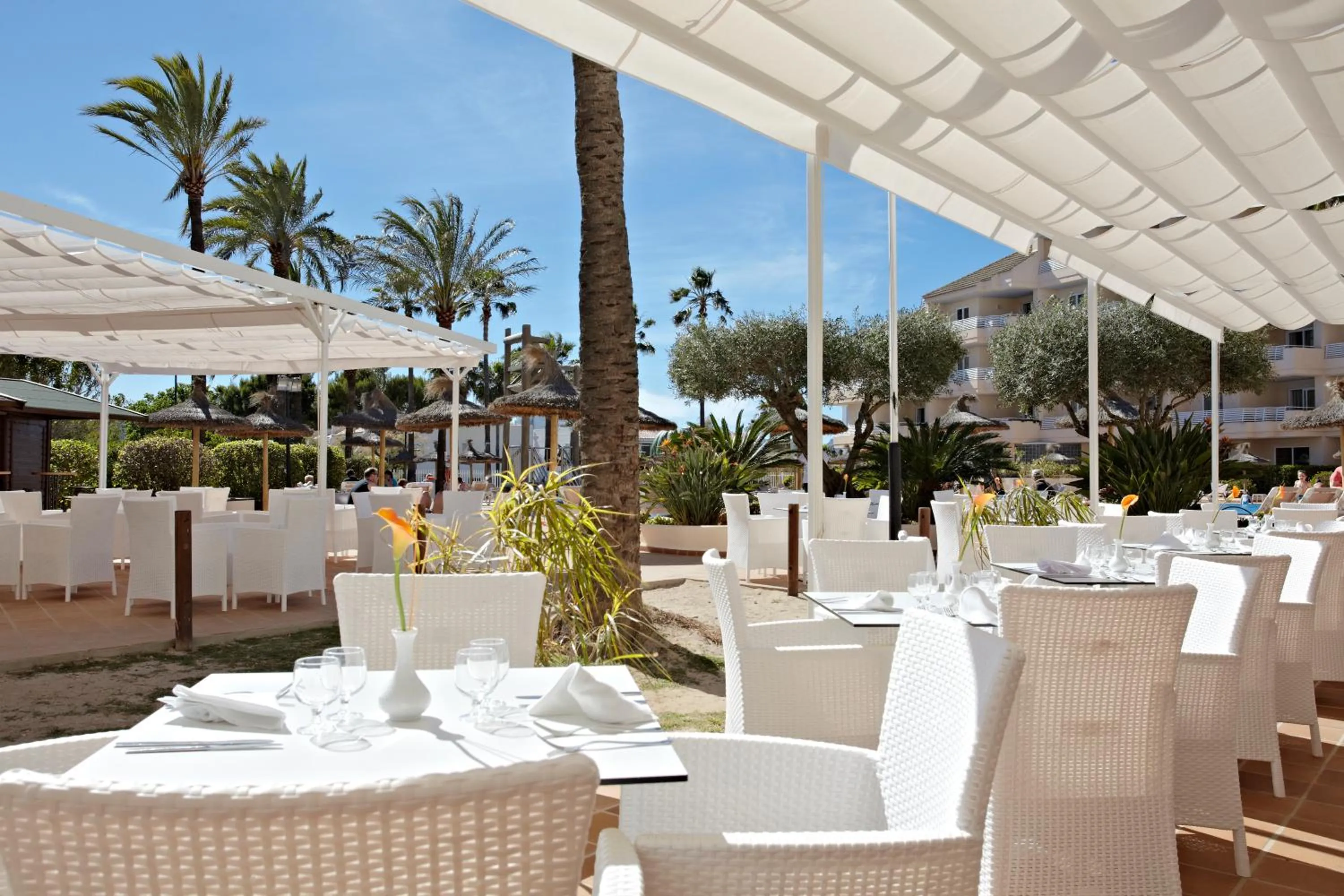 Restaurant/places to eat in Grupotel Port D´Alcudia