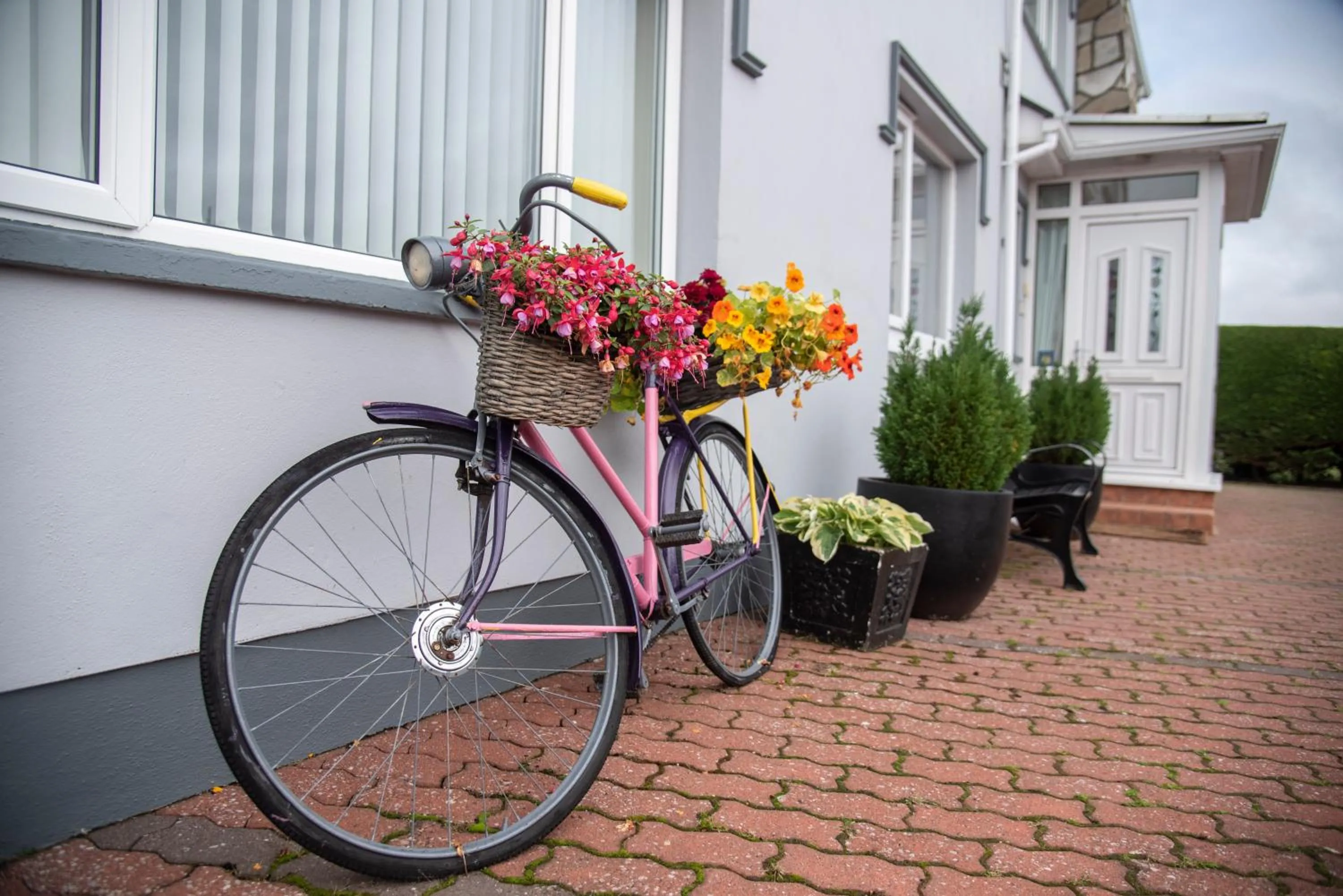 Facade/entrance in Drom na Gainne B&B